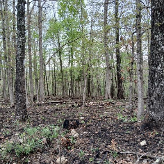 6512 County Road 3850 Property Photo 1