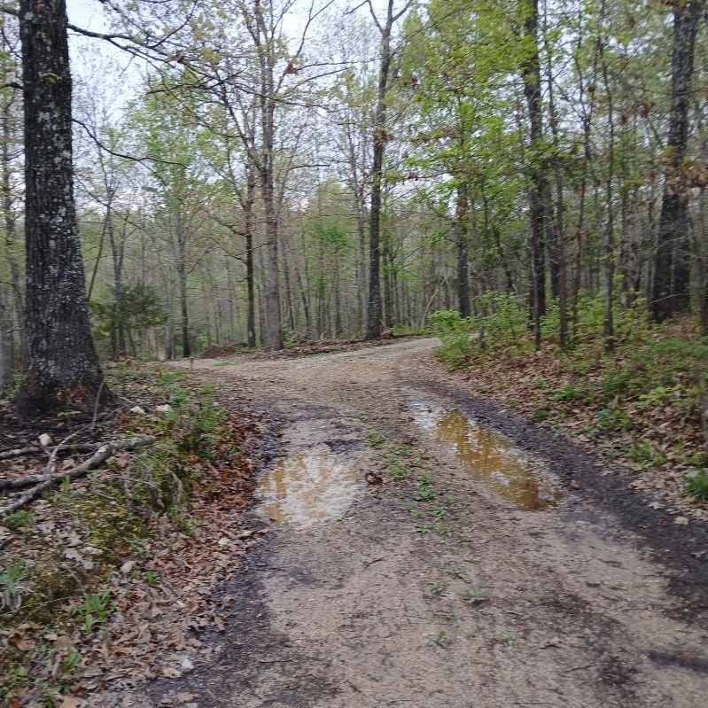 6512 County Road 3850 Property Photo 2