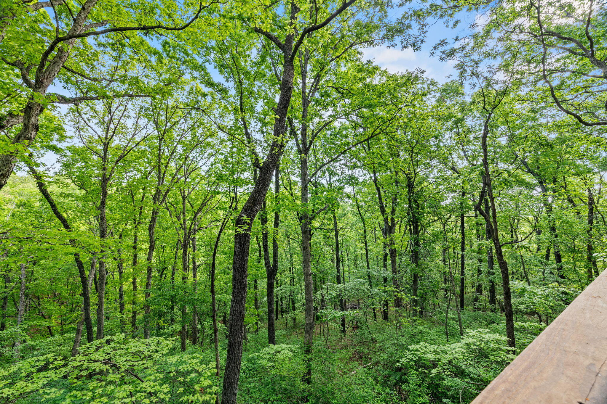 22648 State Highway 112 Property Photo 8