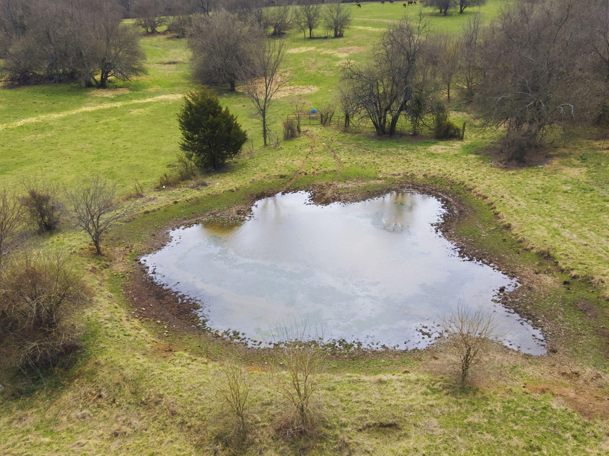 000 South Pond Willow Lane Property Photo 4