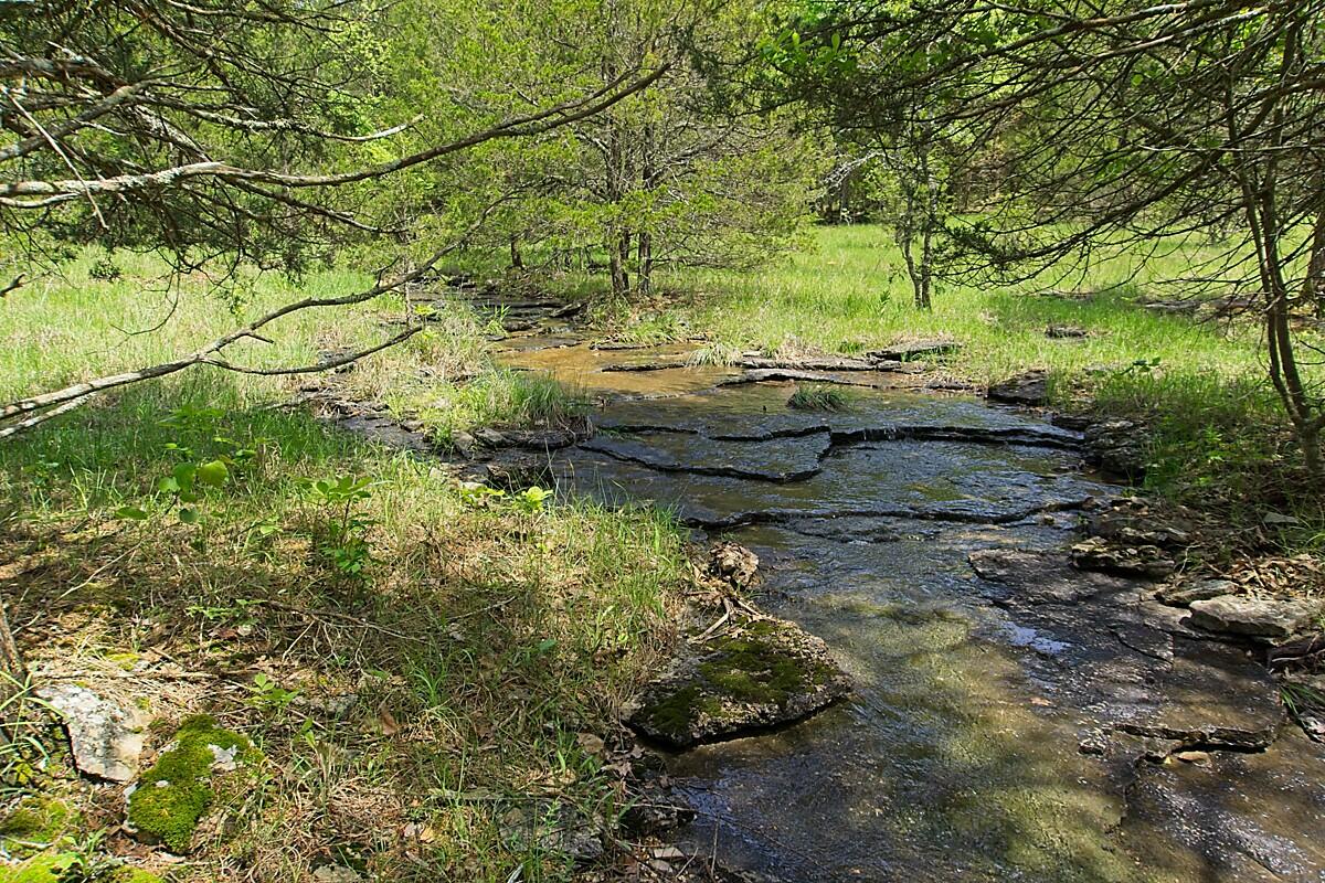 14266 Able Road Property Photo 15