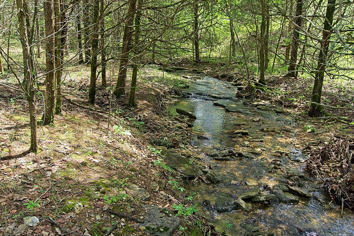 14266 Able Road Property Photo 16