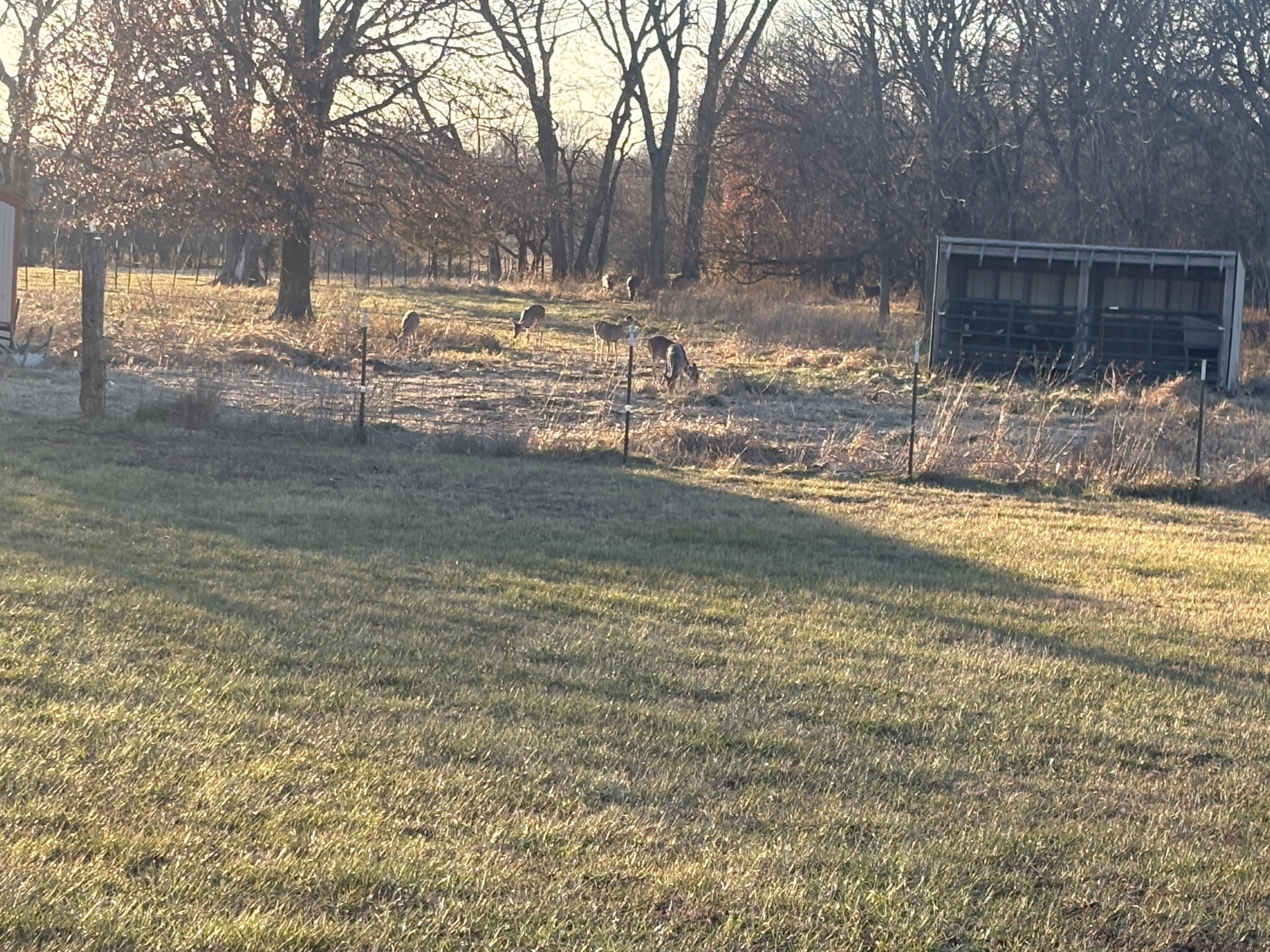 8903 North State Highway Z Property Photo 31