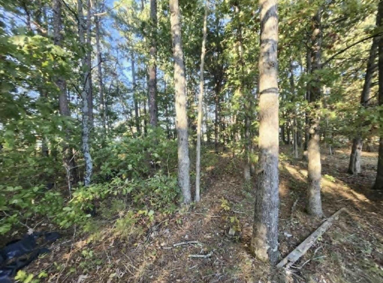 5315 M Highway Property Photo 28