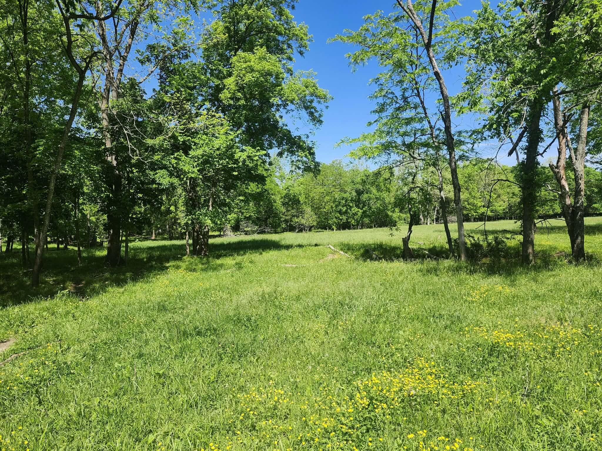 Tbd High Drive Property Photo 8