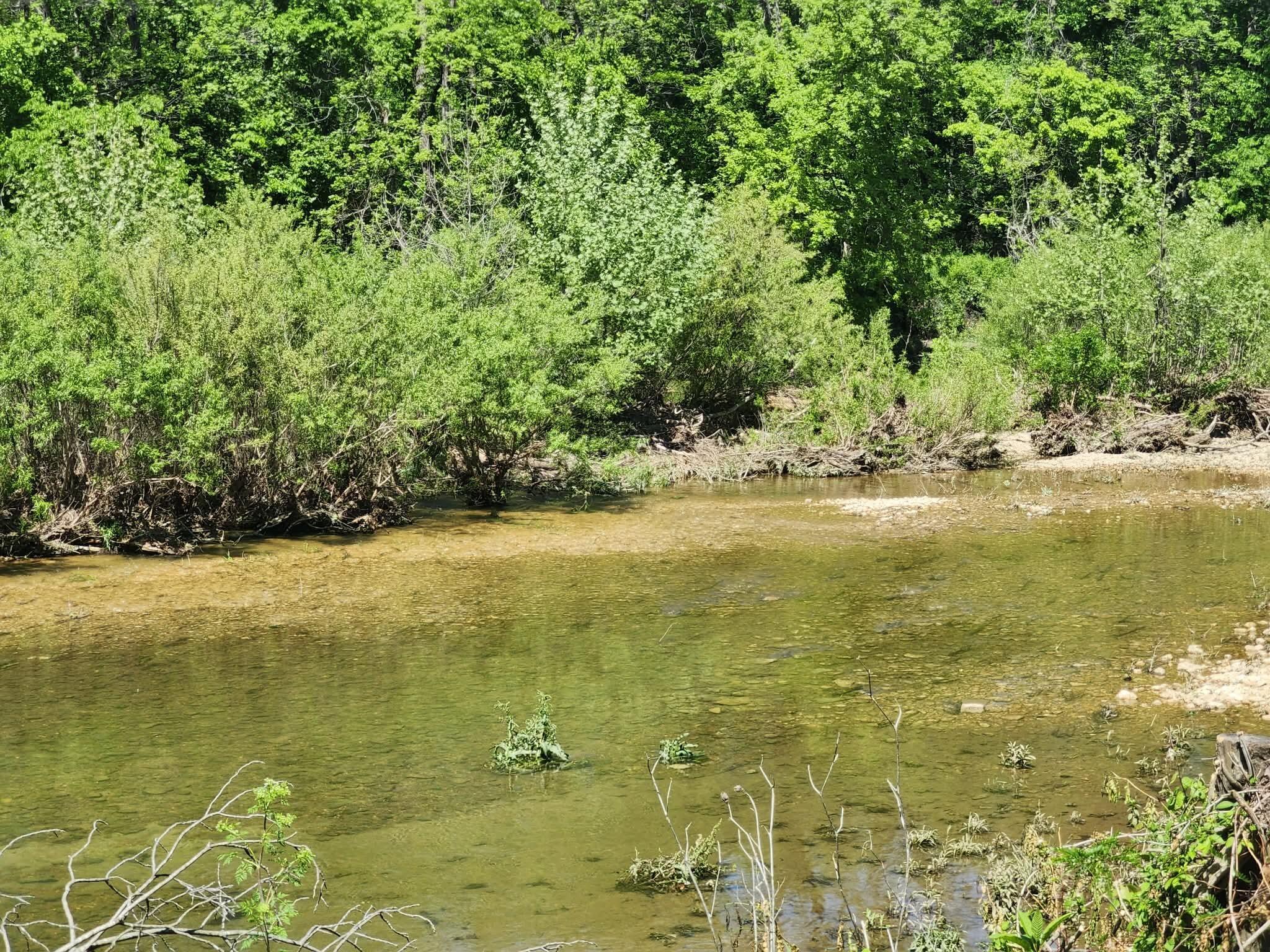 Tbd High Drive Property Photo 9