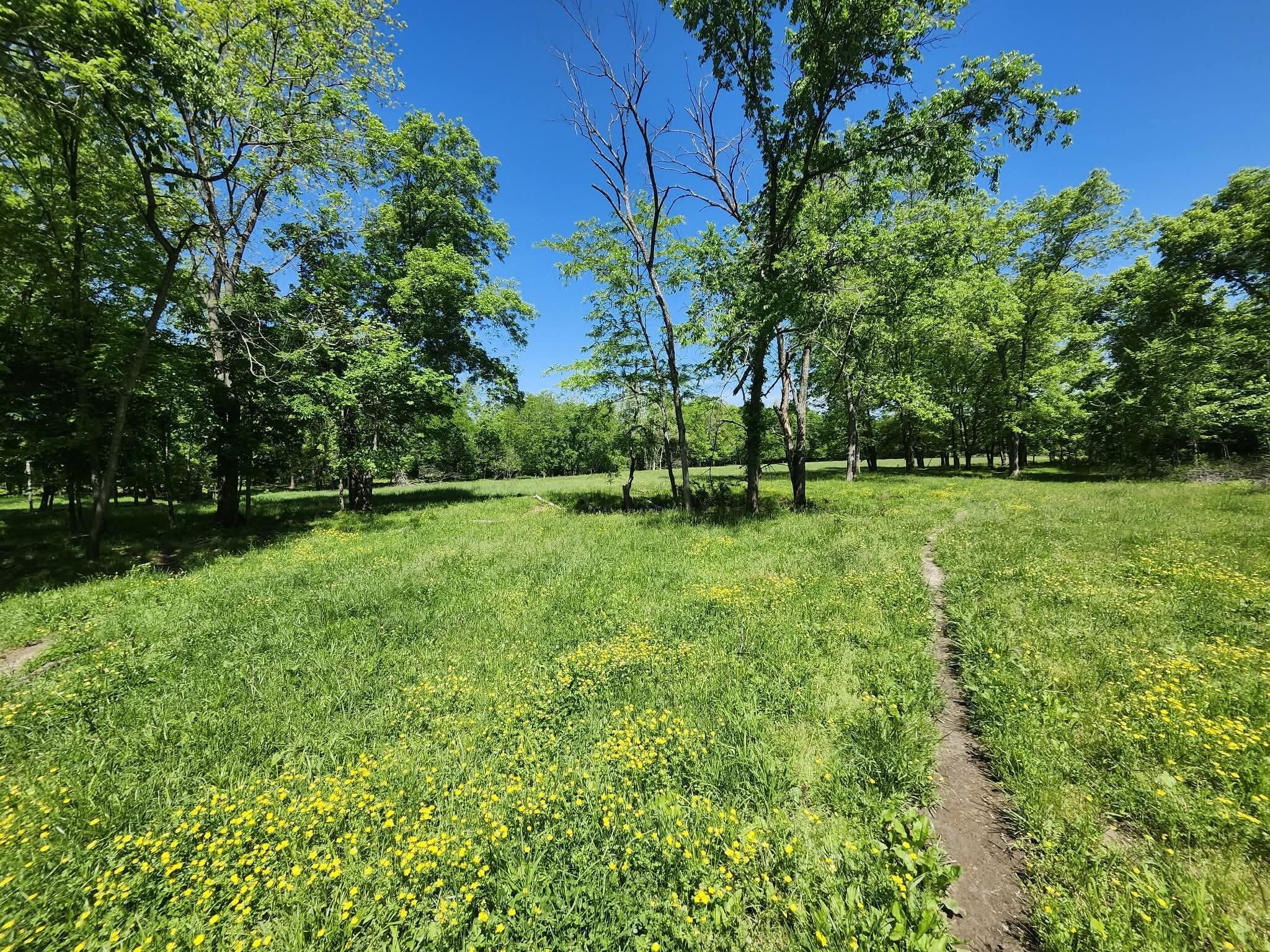 Tbd High Drive Property Photo 11