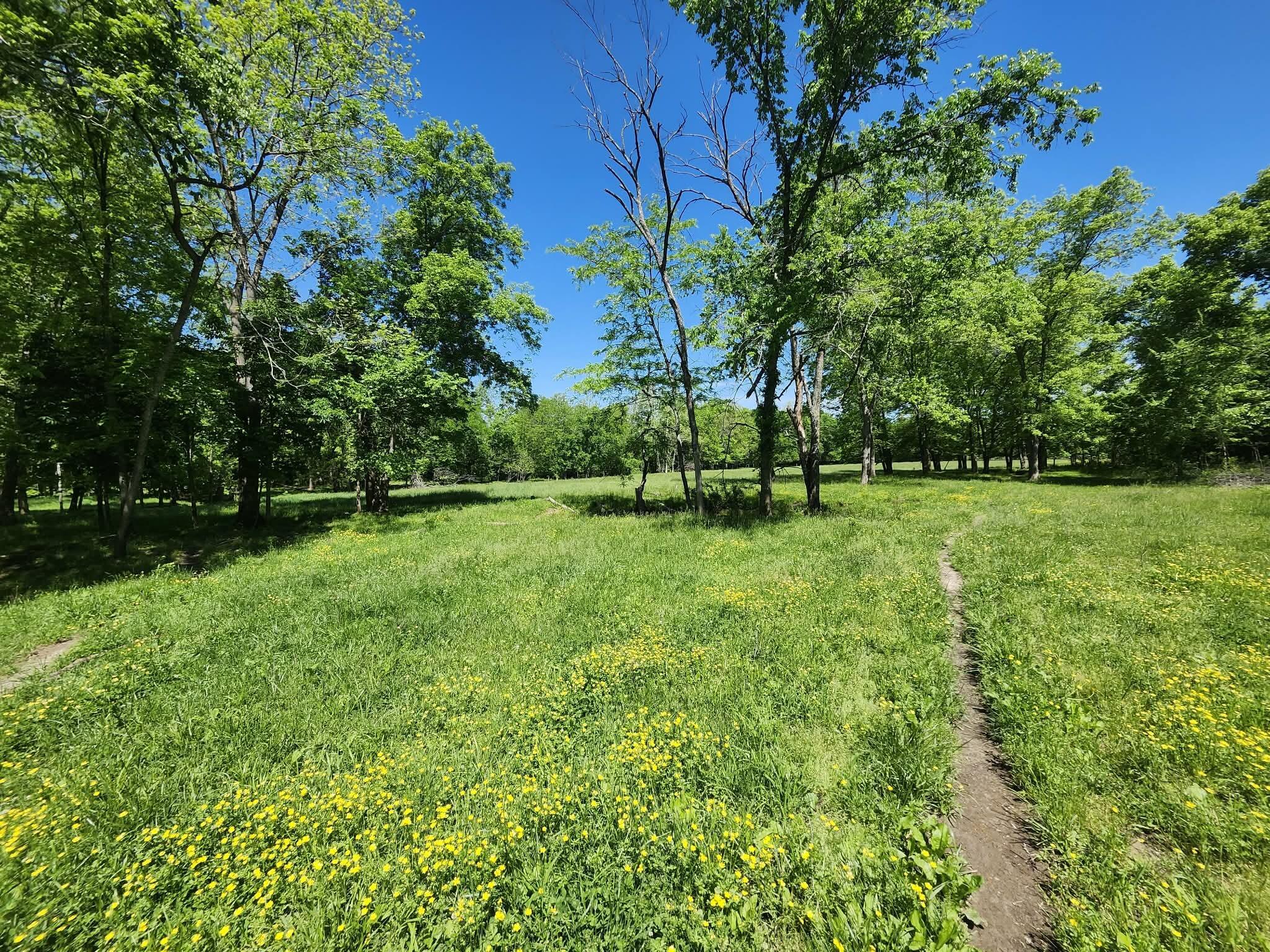 Tbd High Drive Property Photo 12