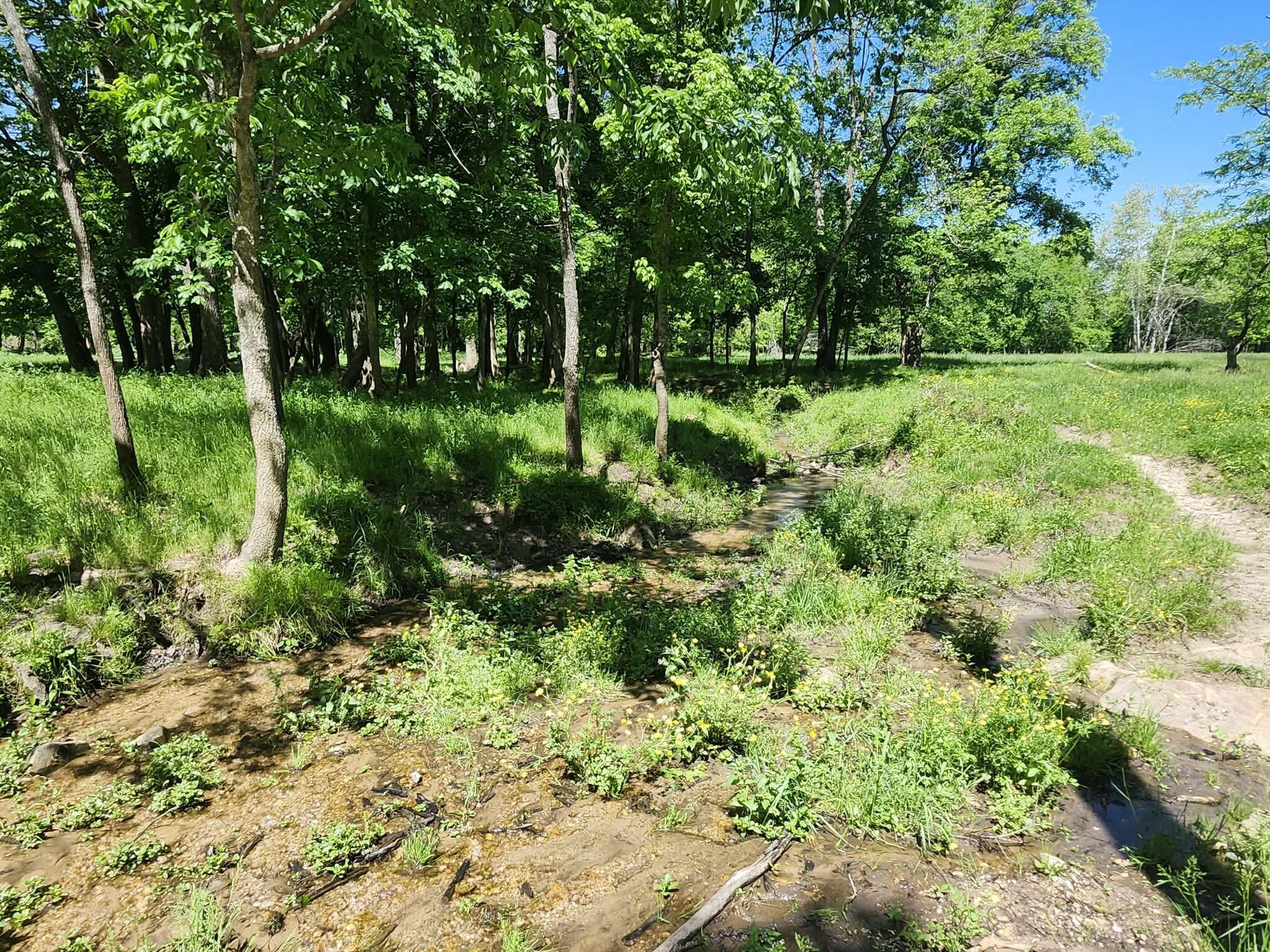 Tbd High Drive Property Photo 13