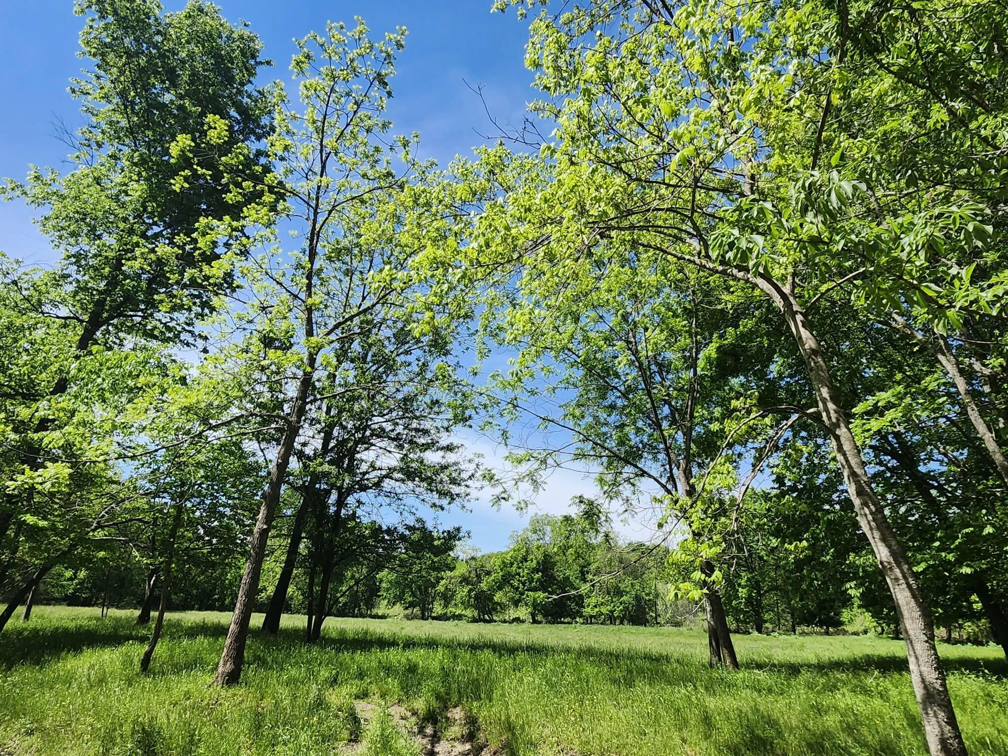 Tbd High Drive Property Photo 14