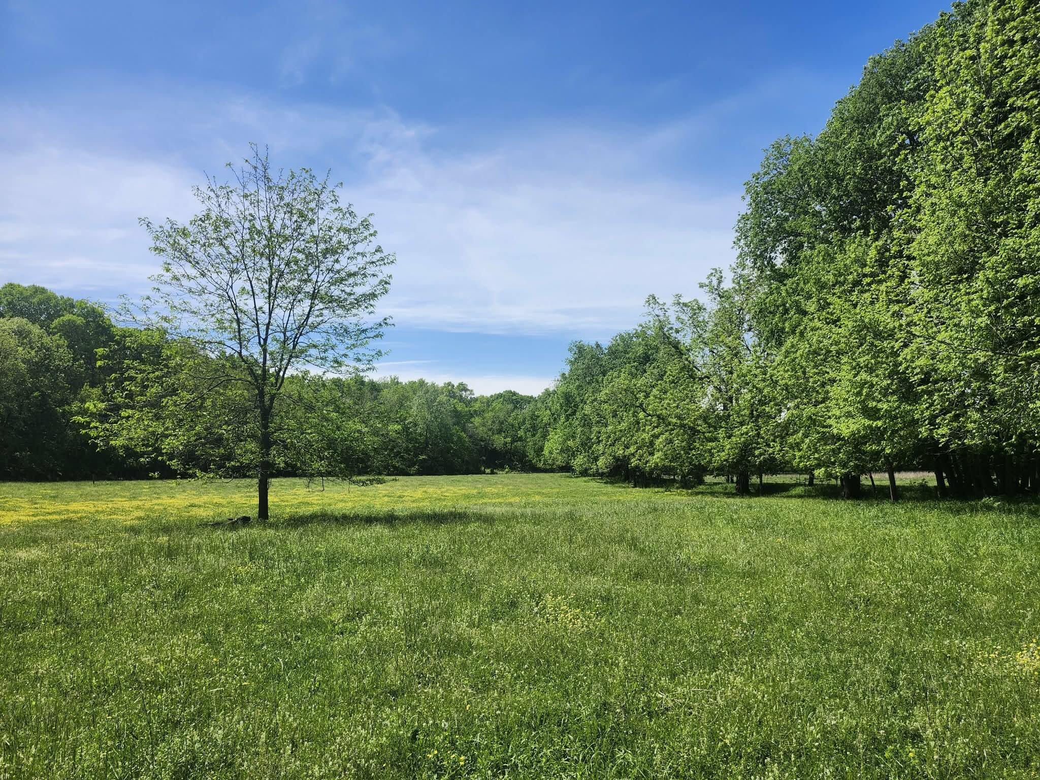 Tbd High Drive Property Photo 18