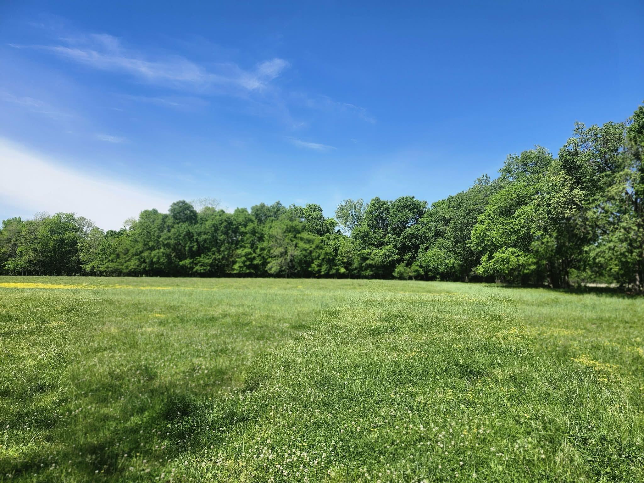 Tbd High Drive Property Photo 19