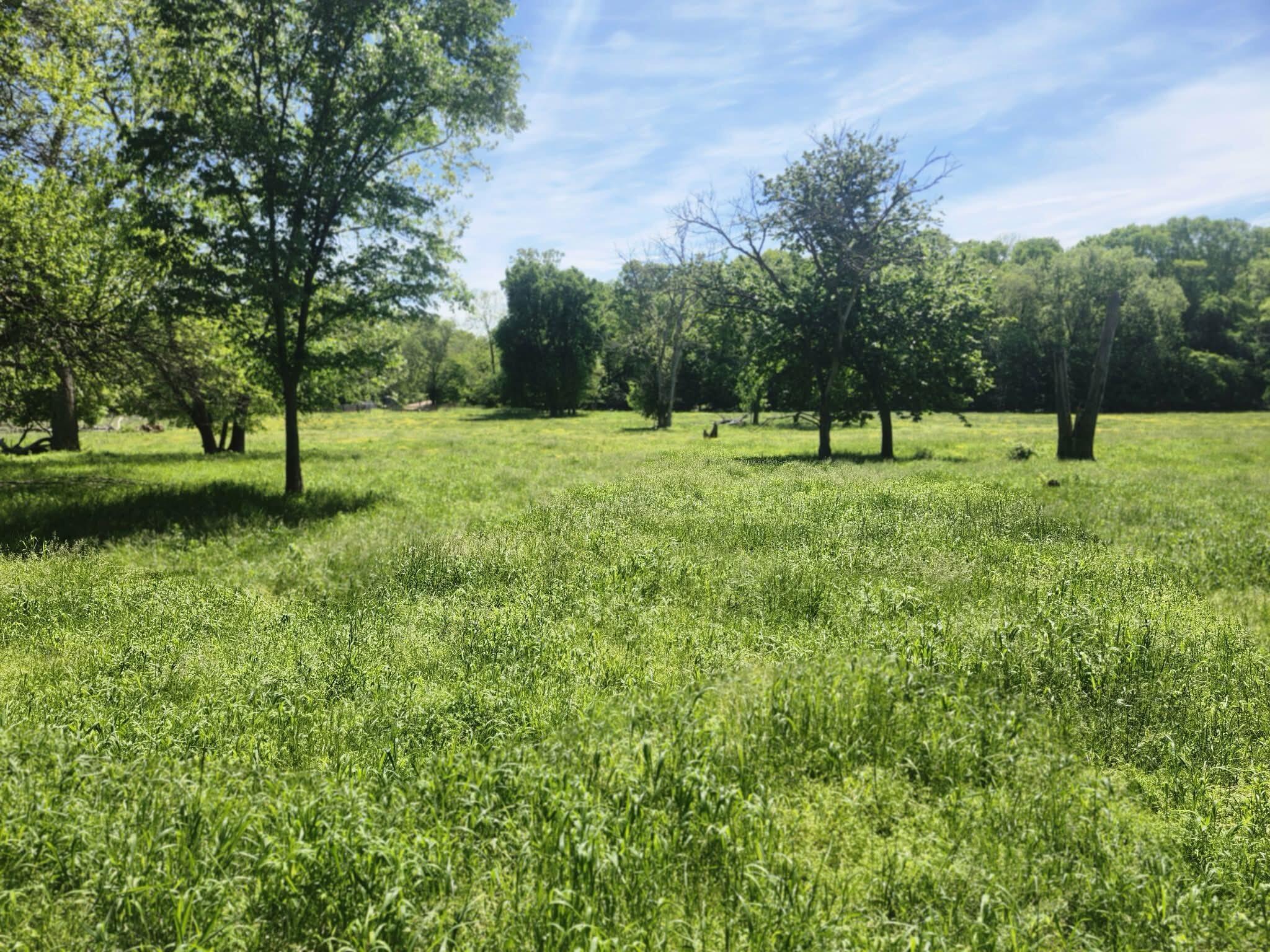 Tbd High Drive Property Photo 21
