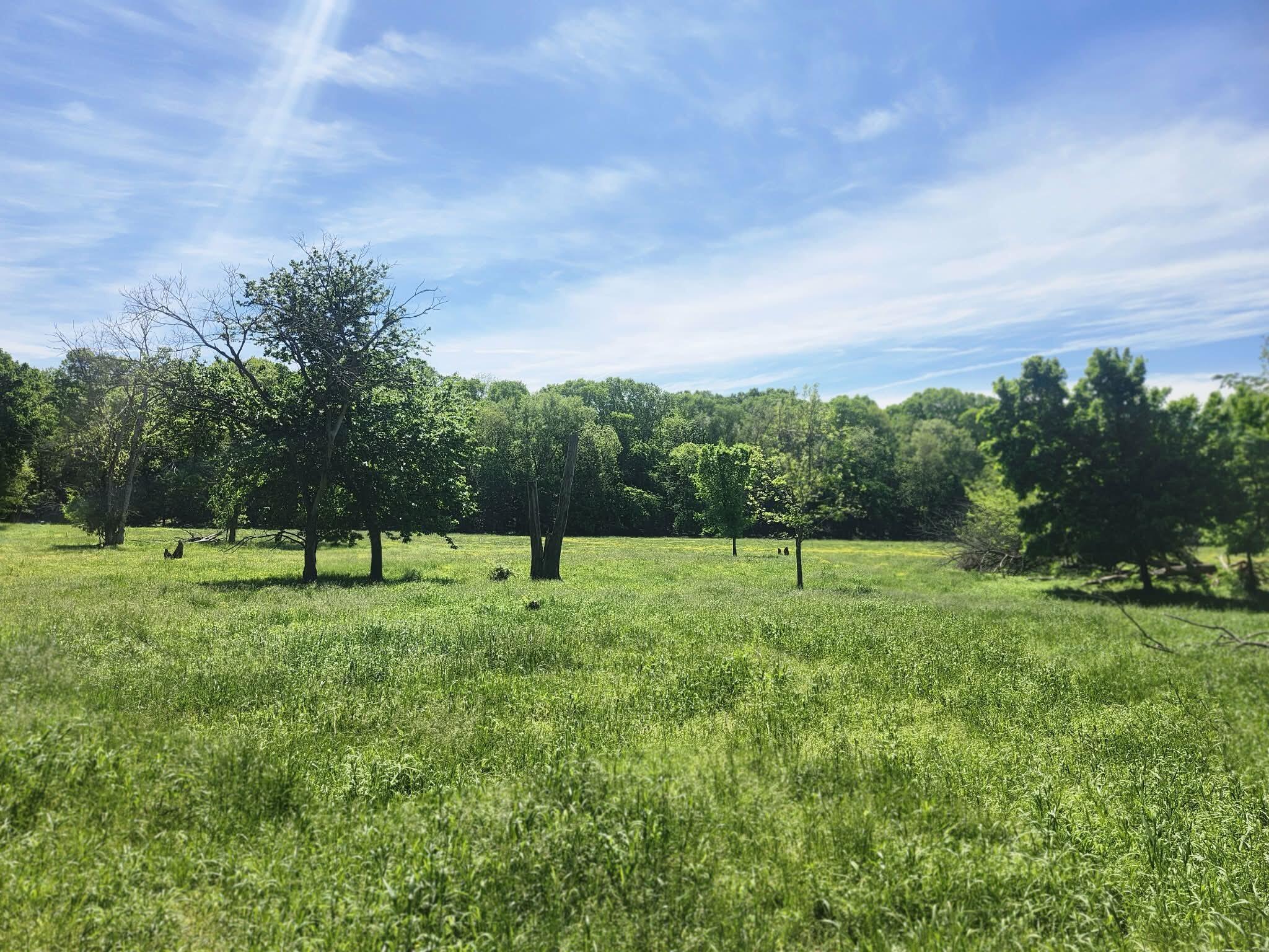 Tbd High Drive Property Photo 22