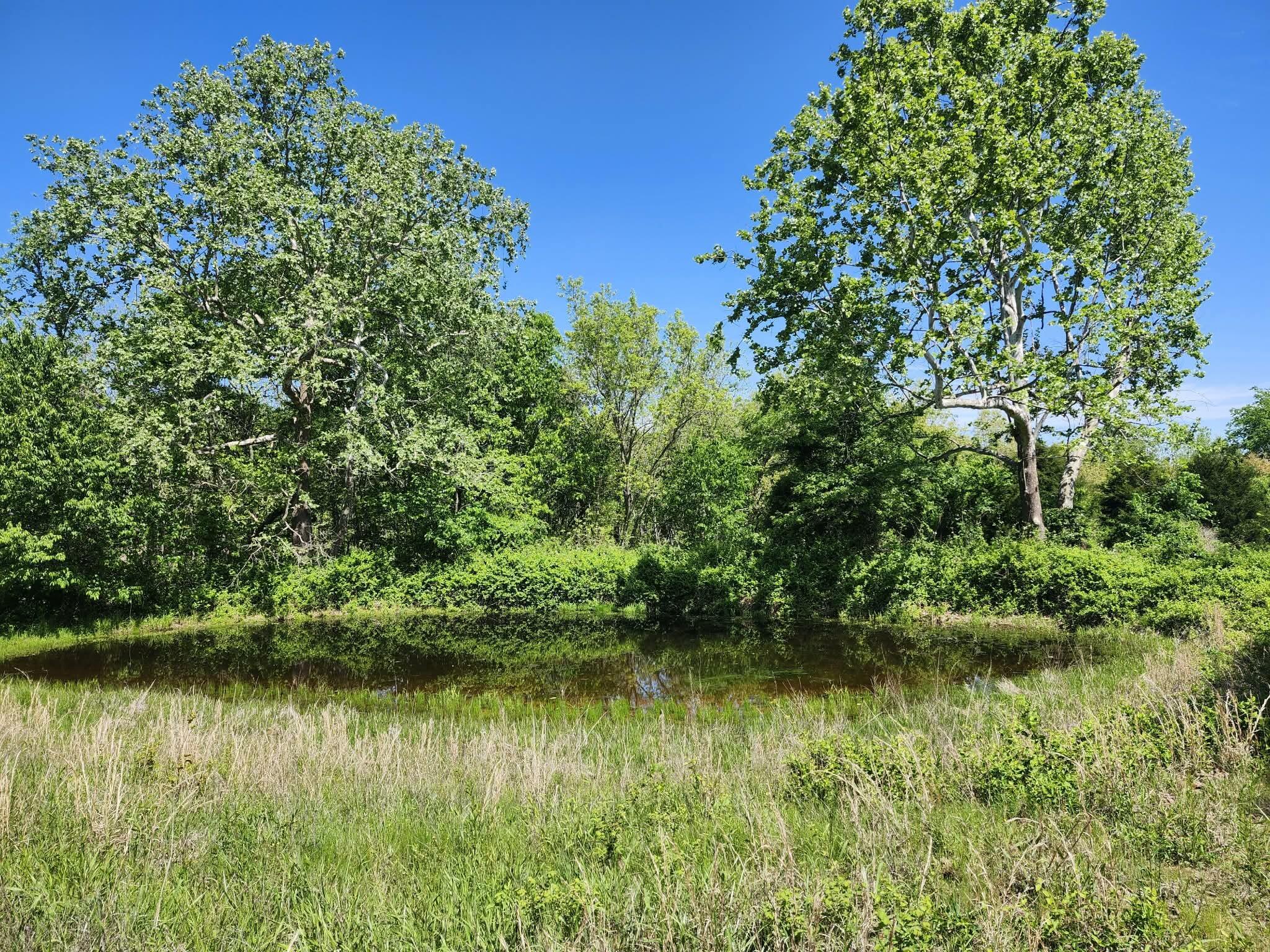 Tbd High Drive Property Photo 23