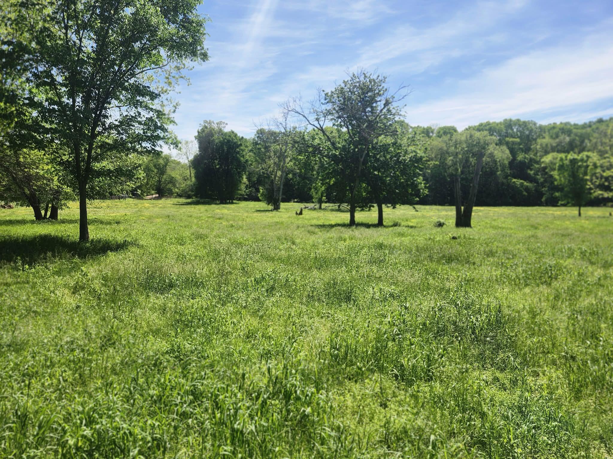 Tbd High Drive Property Photo 24