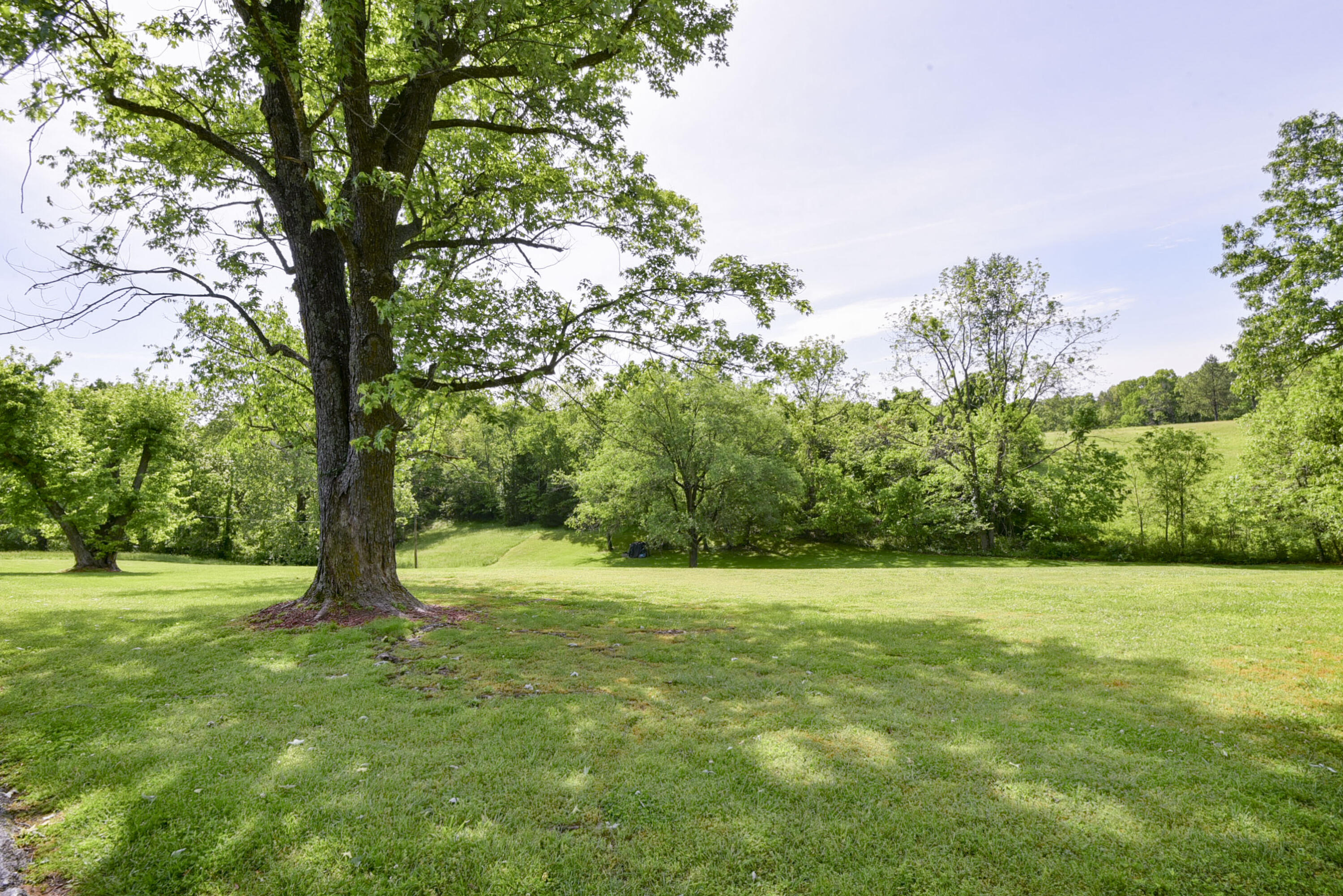 1338 Blackberry Lane Property Photo 49