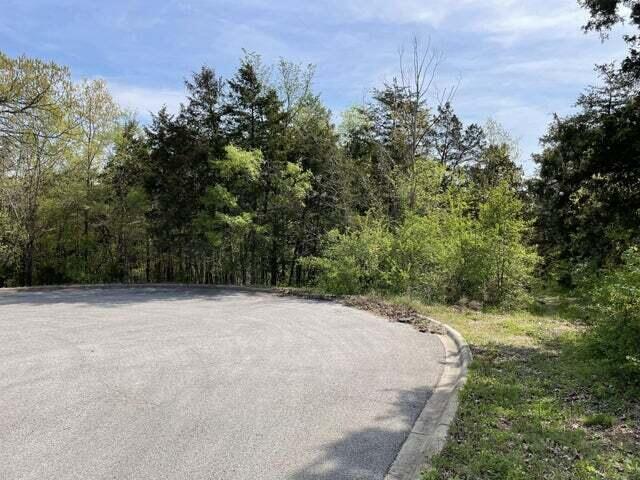 0 Daless Court Property Photo 2