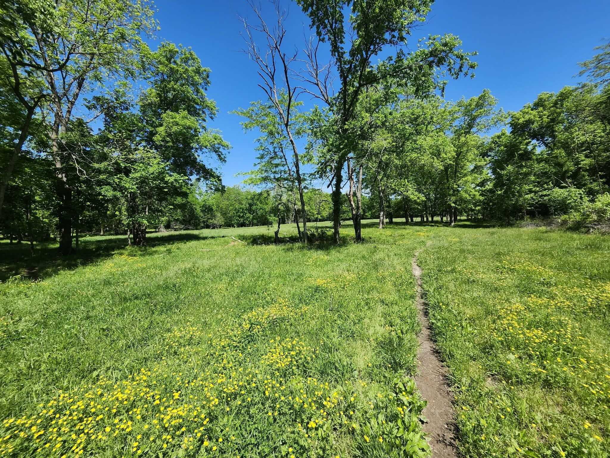 Tbd High Drive Property Photo 13