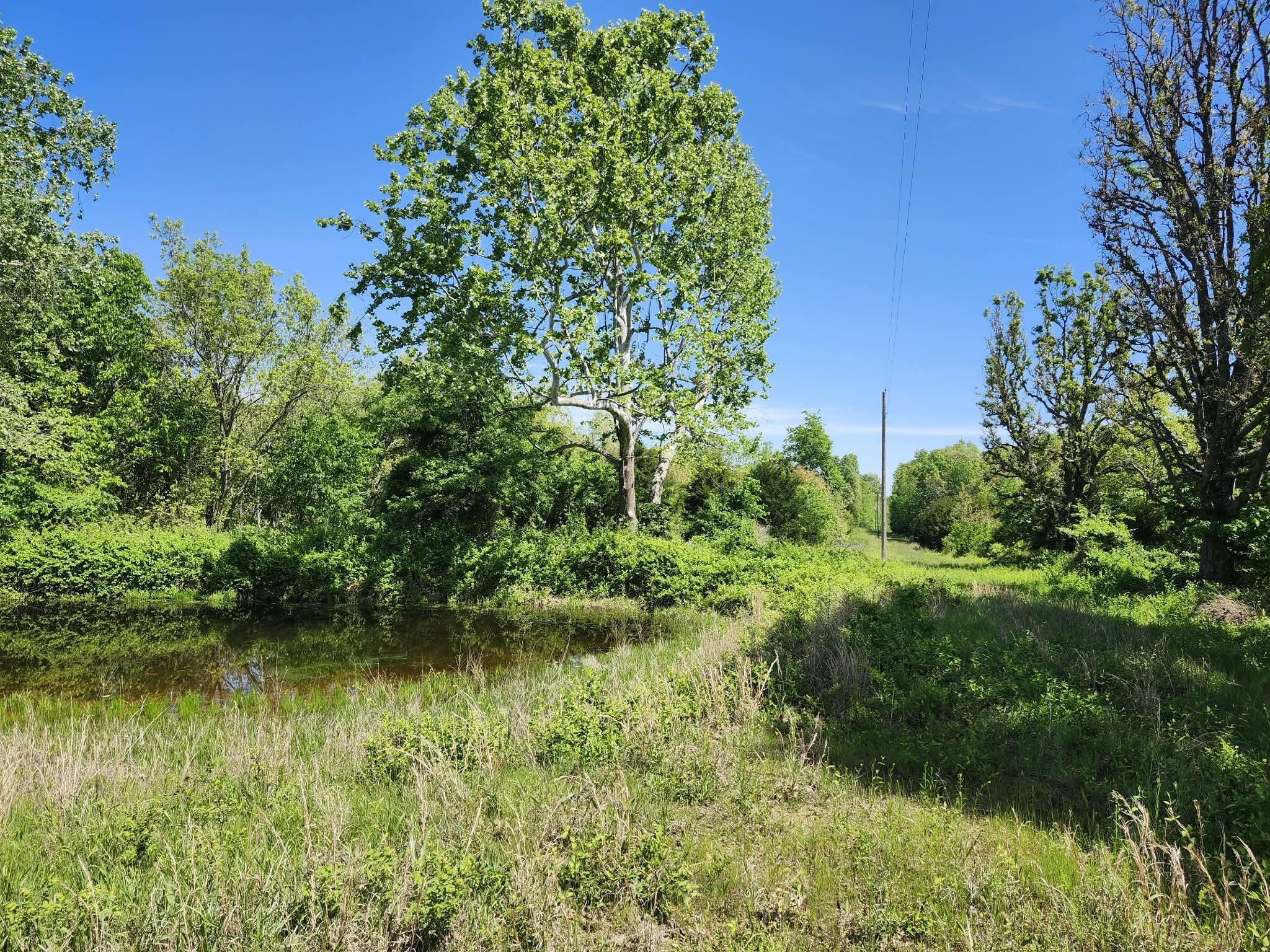 Tbd High Drive Property Photo 27