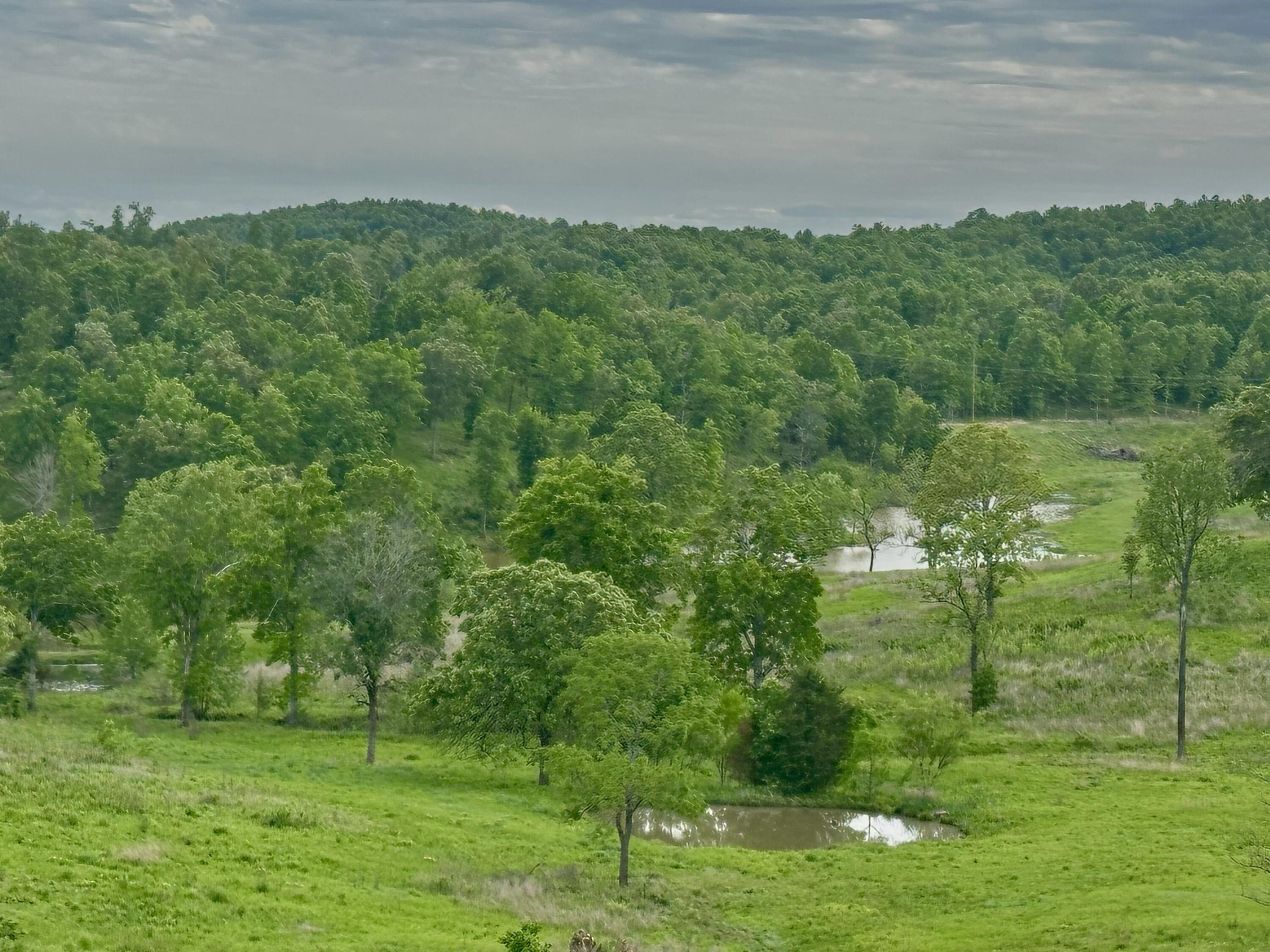 283 Big Trout Trail Property Photo 39