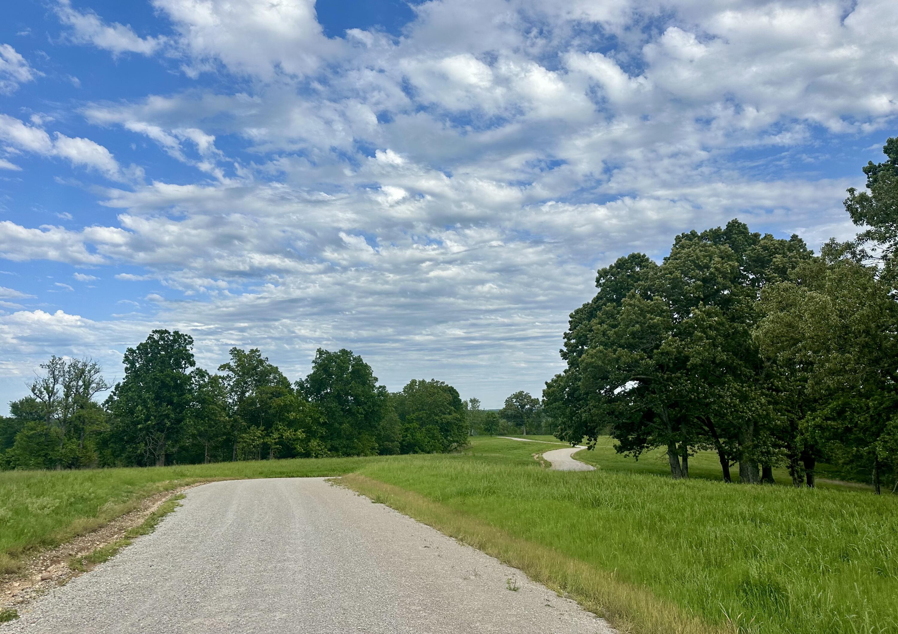 283 Big Trout Trail Property Photo 40