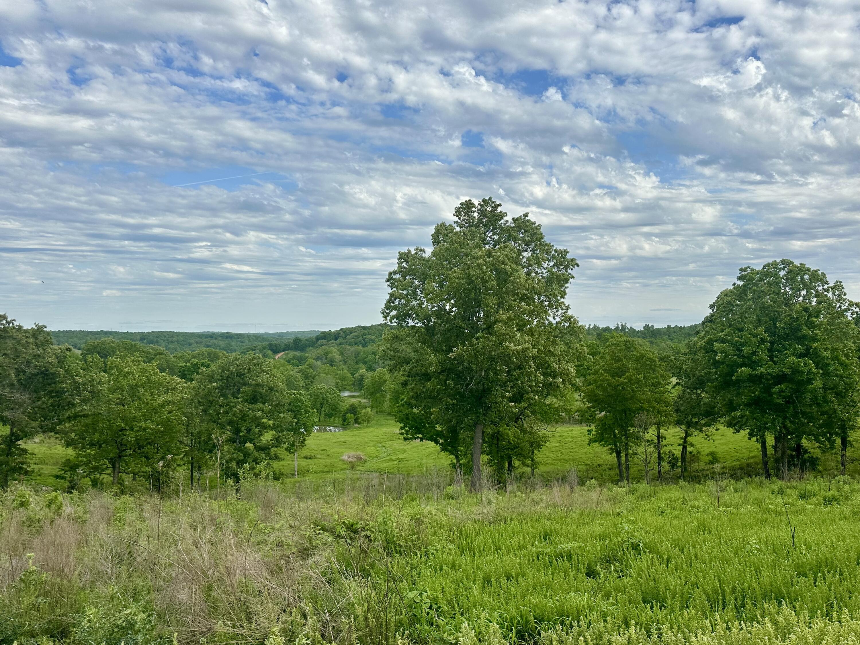 283 Big Trout Trail Property Photo 41