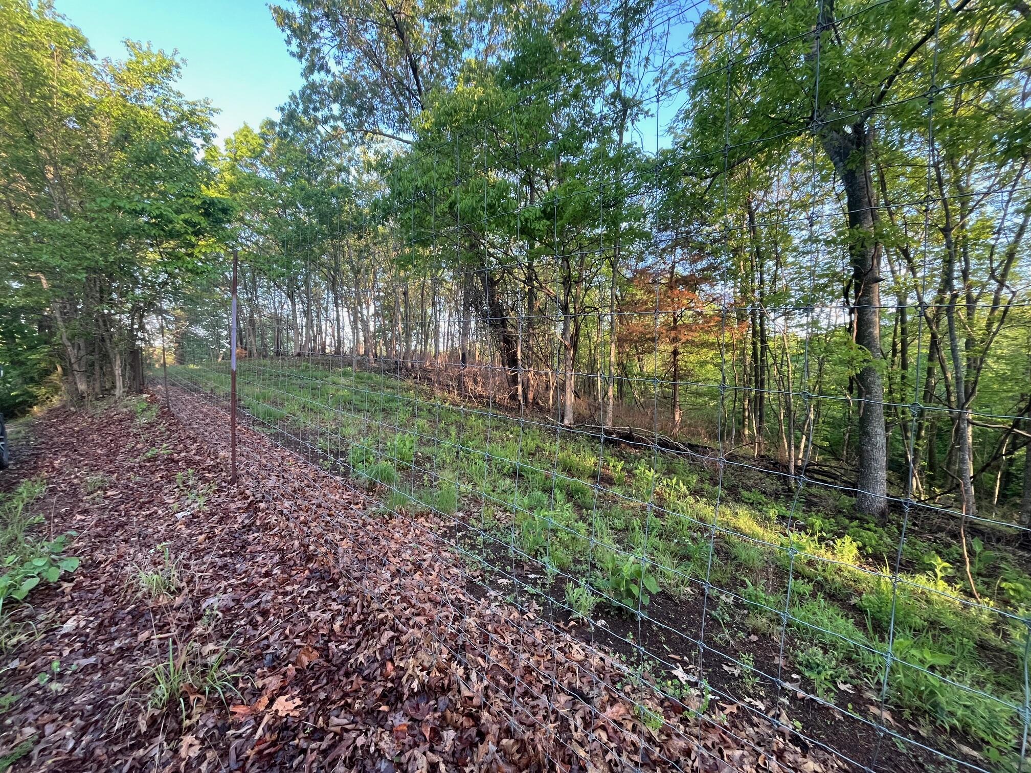 000 Farm Road 2170 Property Photo 6