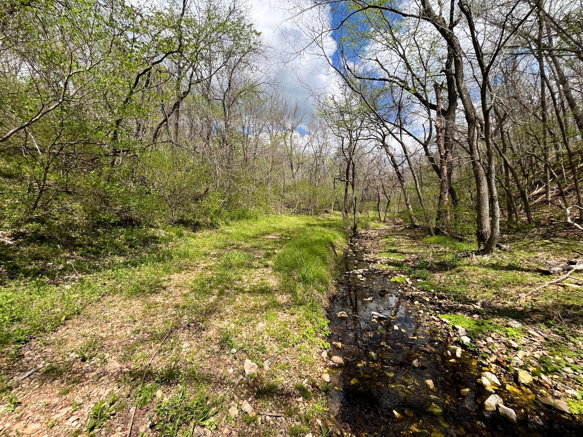 000 Farm Road 2170 Property Photo 84