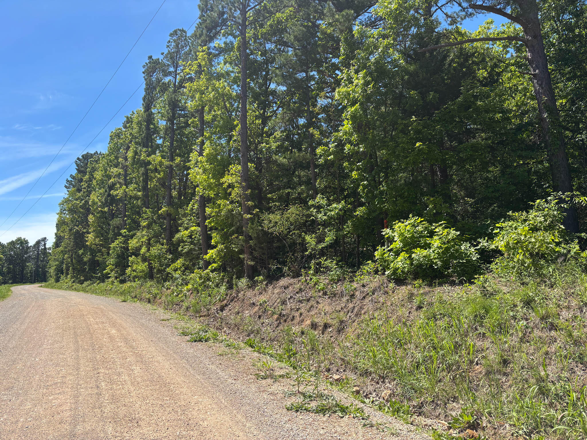 Tbd County Road 154 Property Photo 1