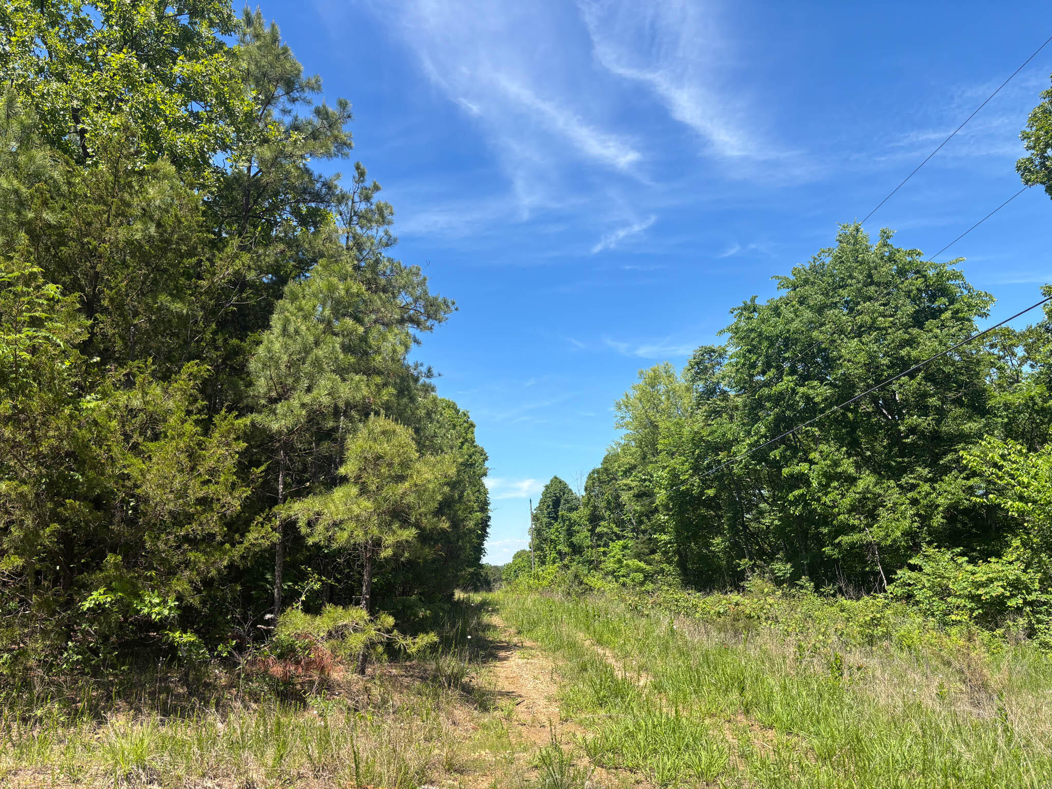 Tbd County Road 154 Property Photo 2