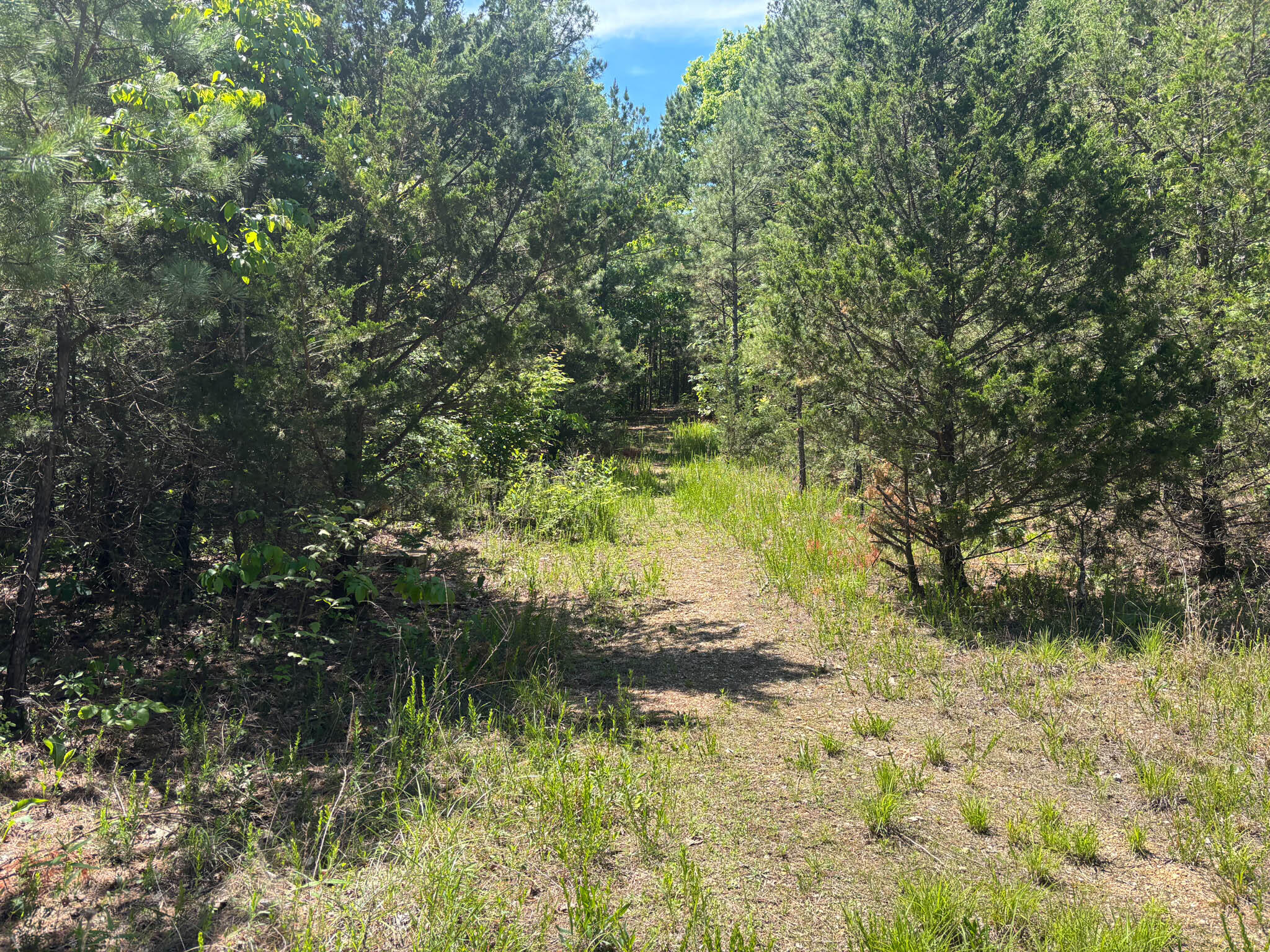 Tbd County Road 154 Property Photo 3