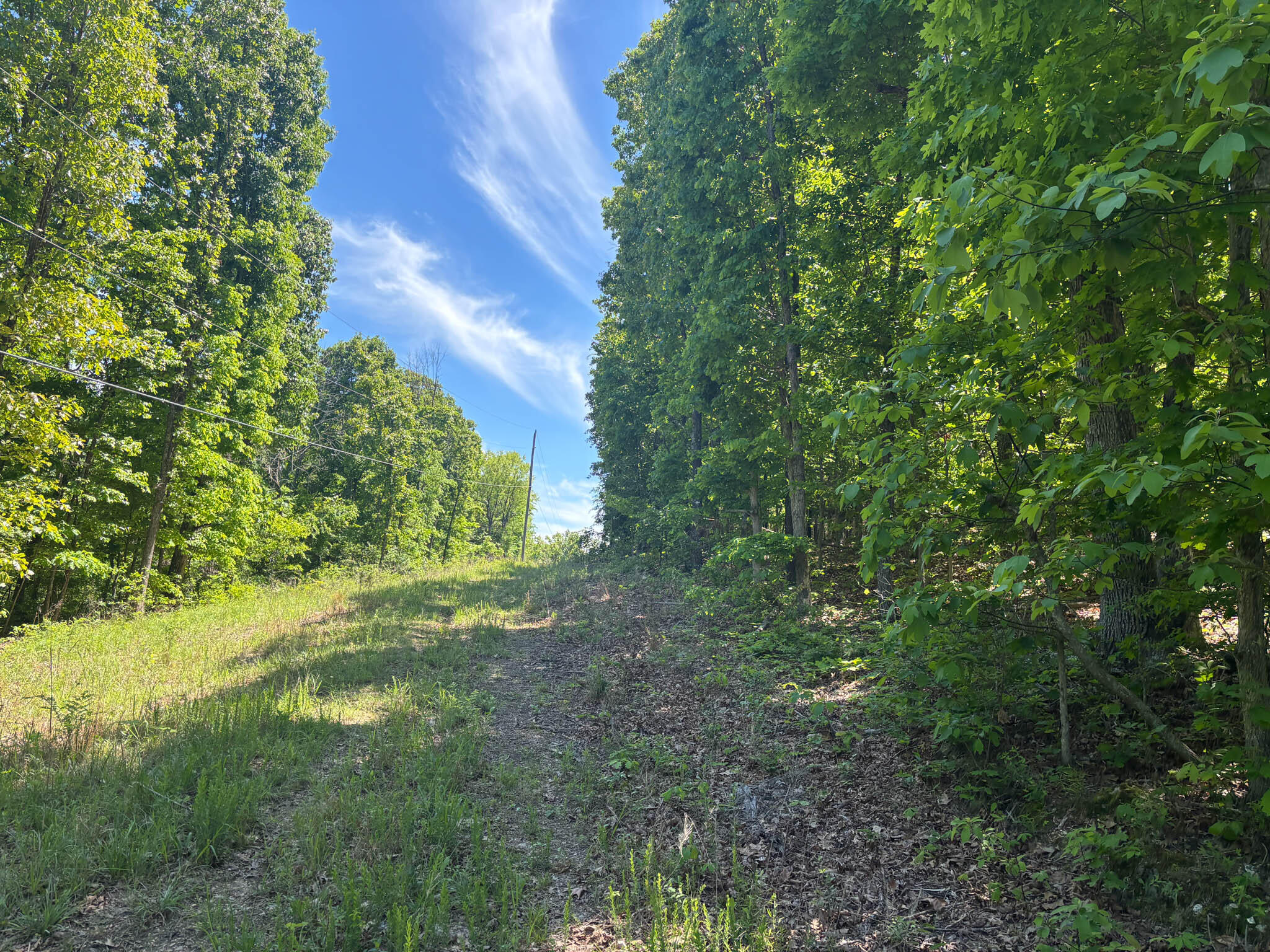 Tbd County Road 154 Property Photo 6
