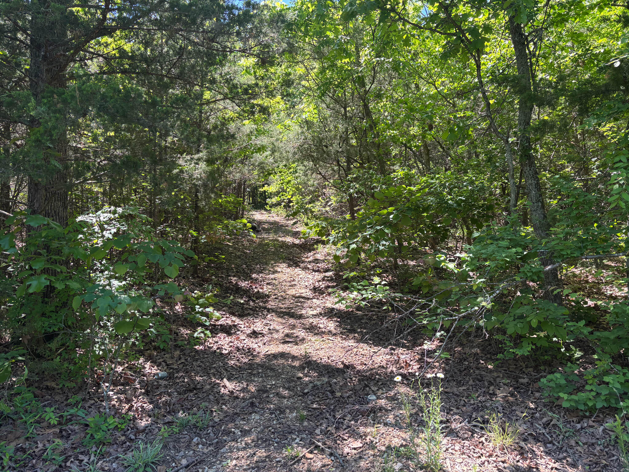 Tbd County Road 154 Property Photo 8