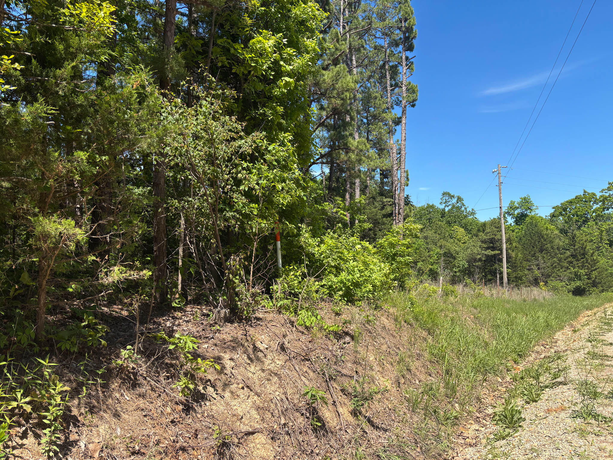 Tbd County Road 154 Property Photo 9