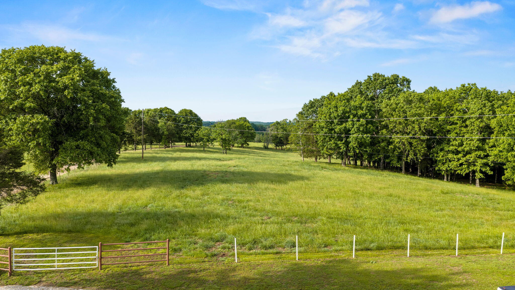 1181 County Road 504 Property Photo 55