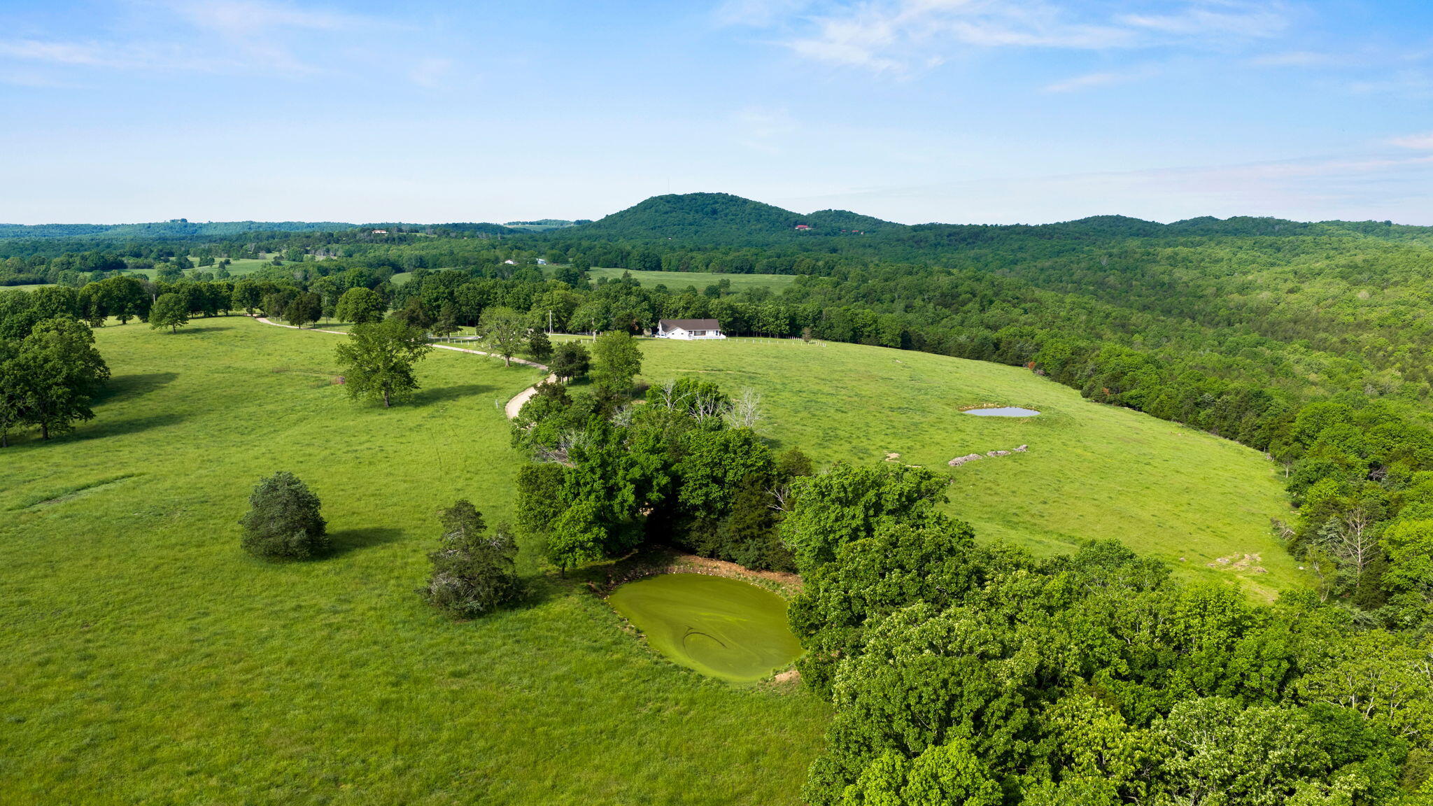1181 County Road 504 Property Photo 77