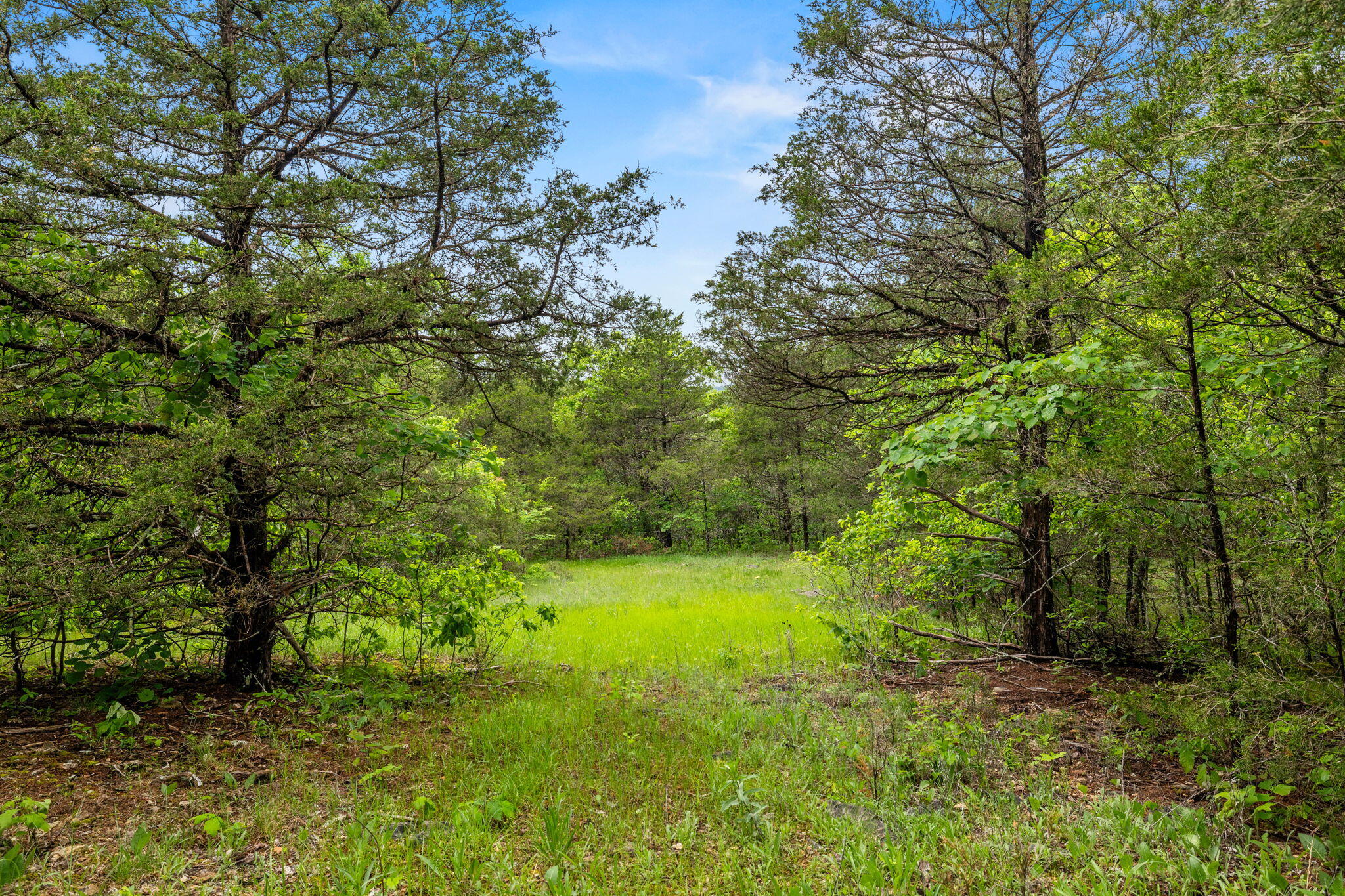1181 County Road 504 Property Photo 105