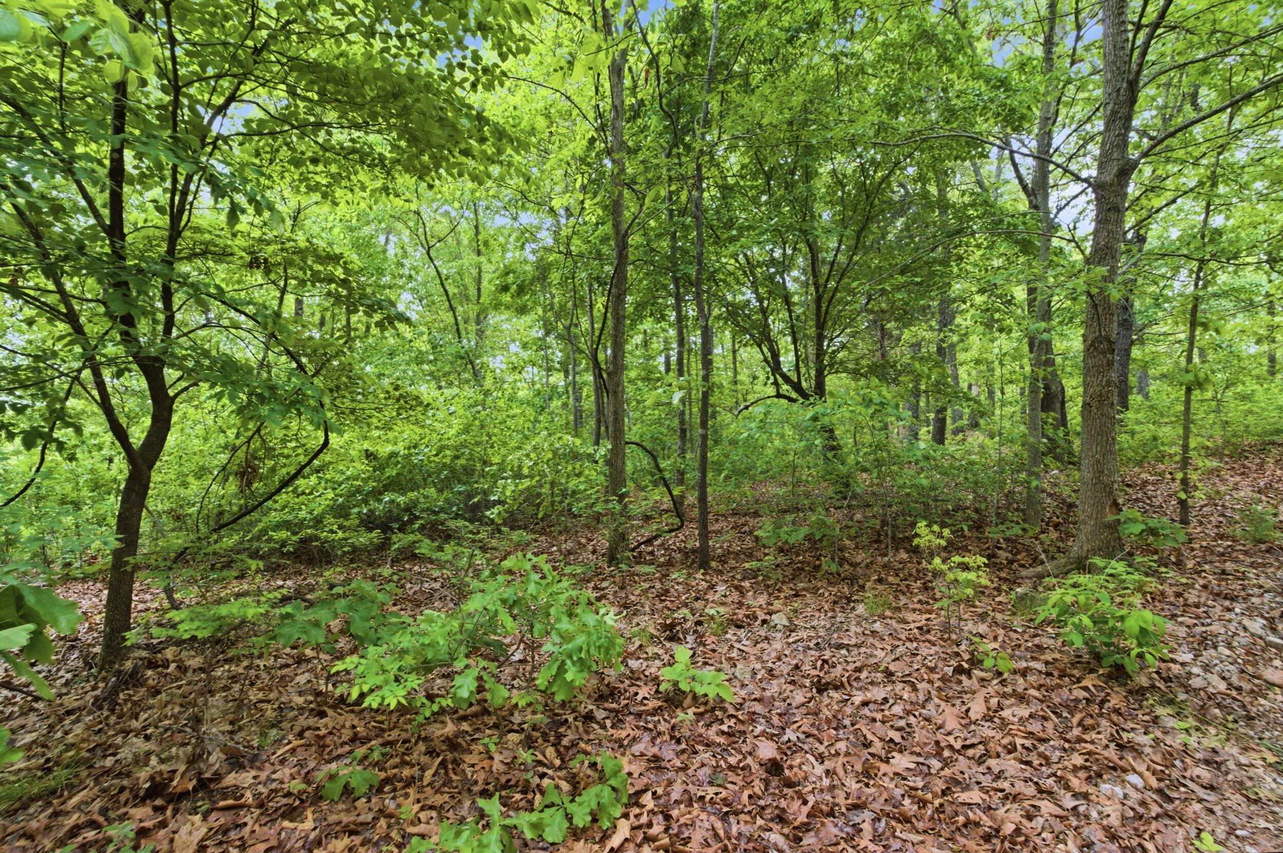 358 County Road 343 Property Photo 44