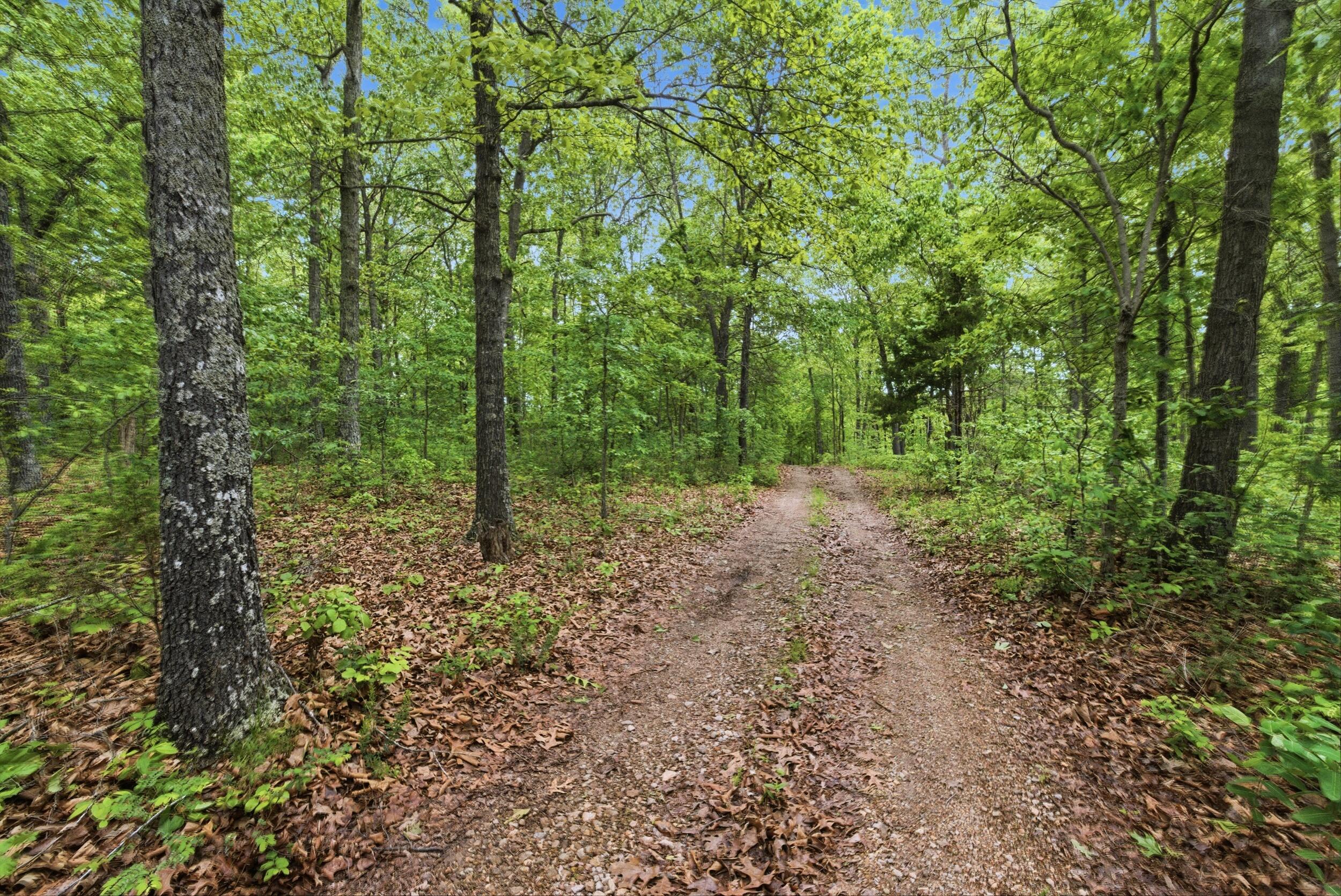 358 County Road 343 Property Photo 45