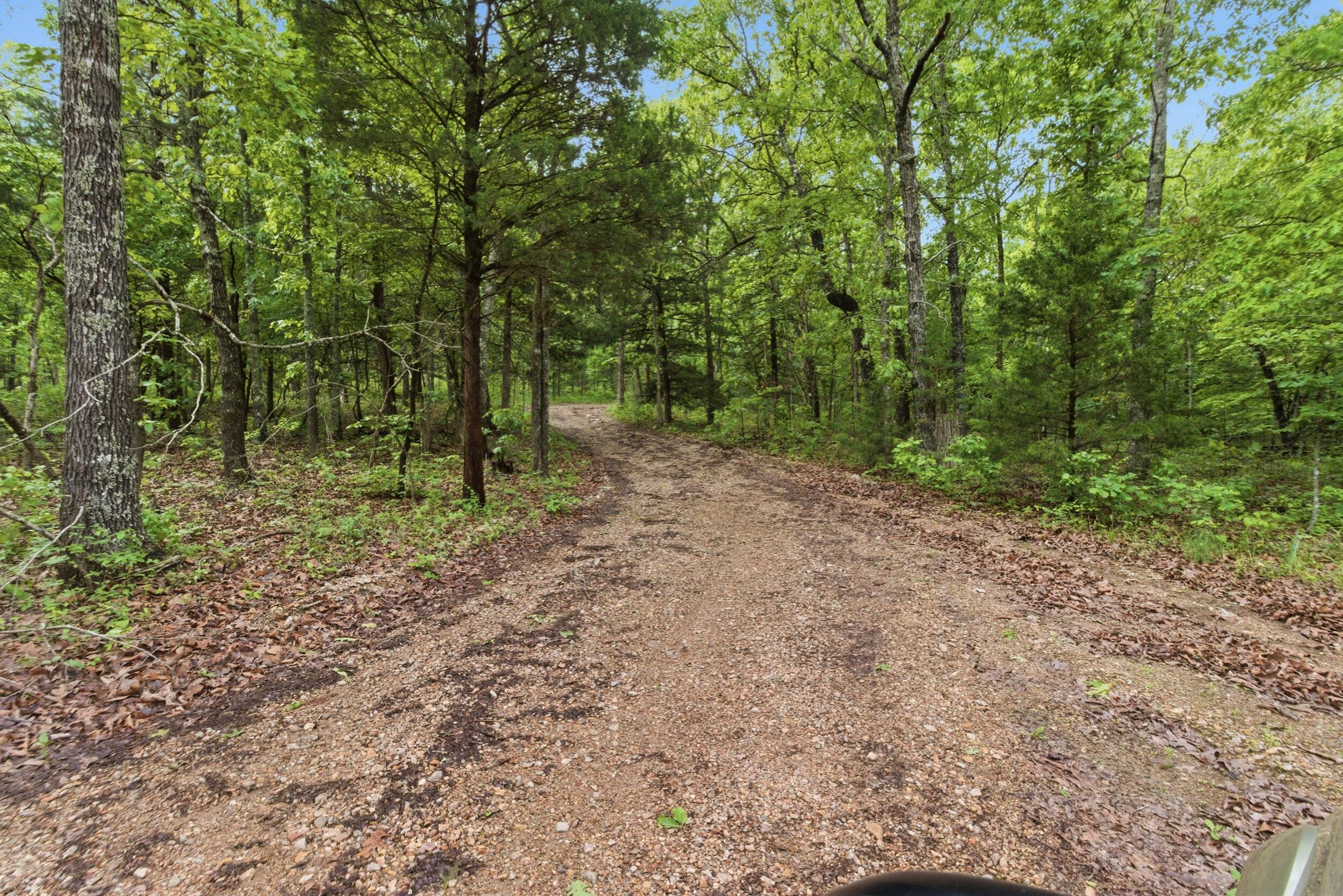 358 County Road 343 Property Photo 46