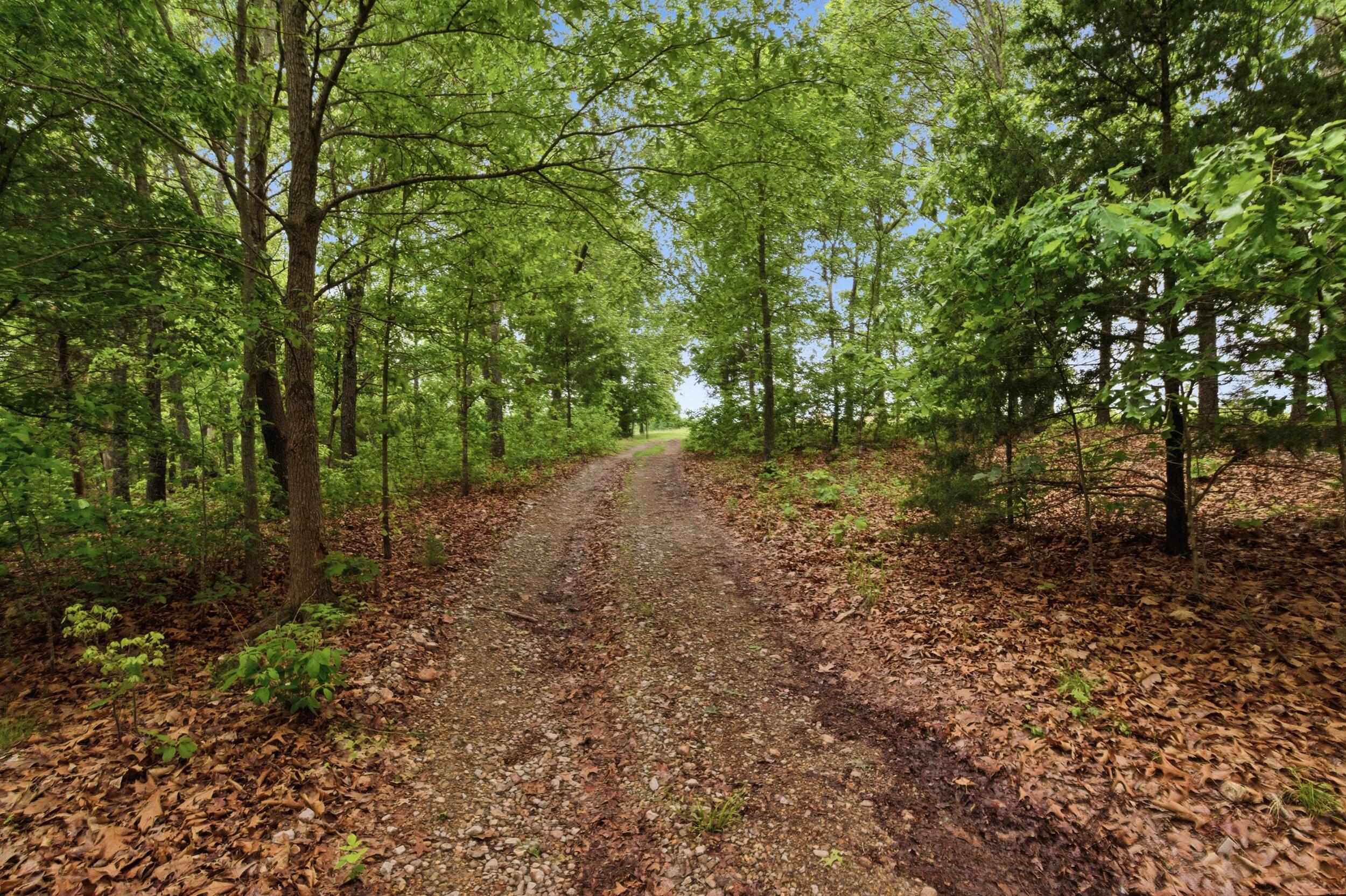 358 County Road 343 Property Photo 55