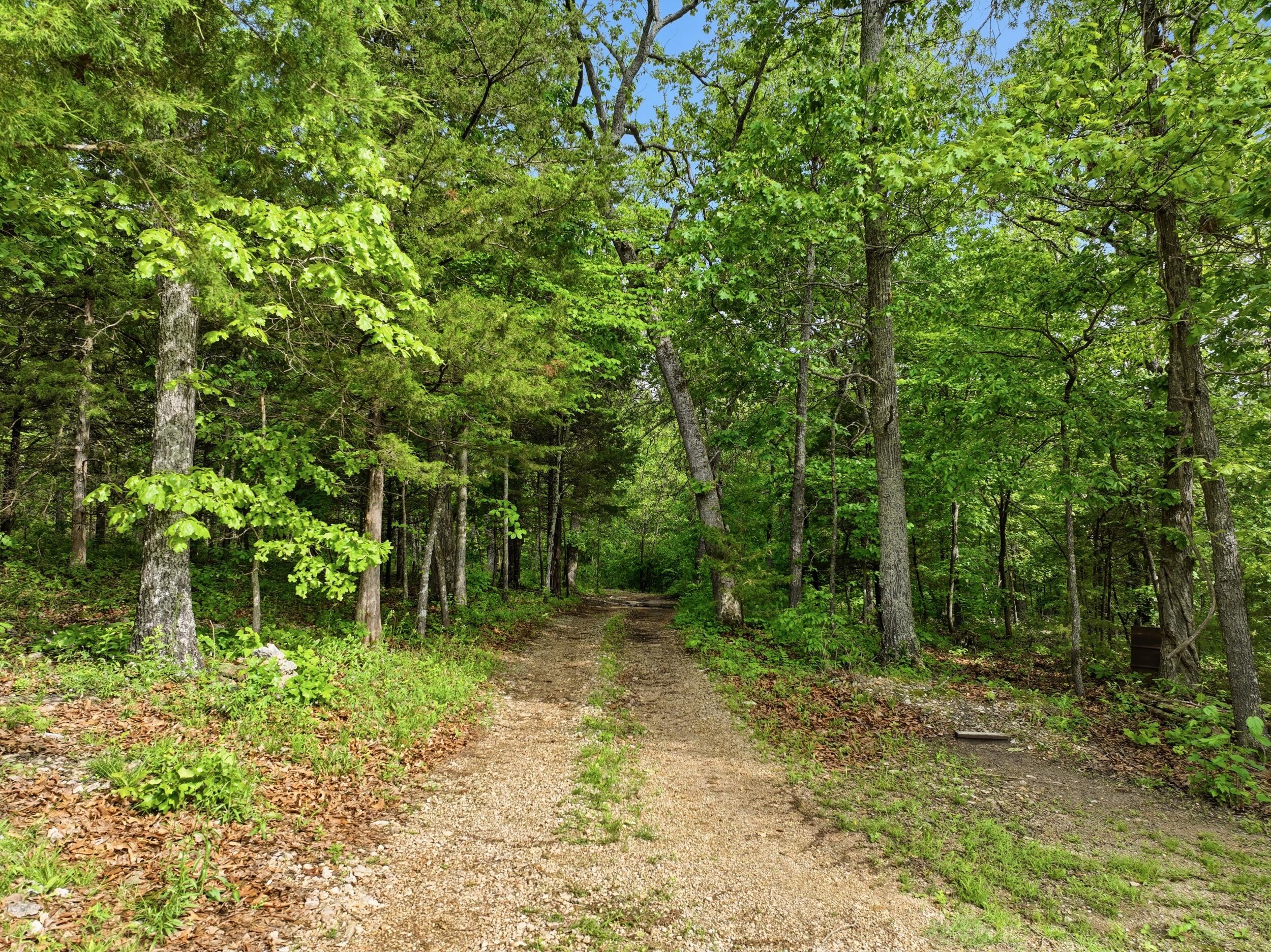 358 County Road 343 Property Photo 66