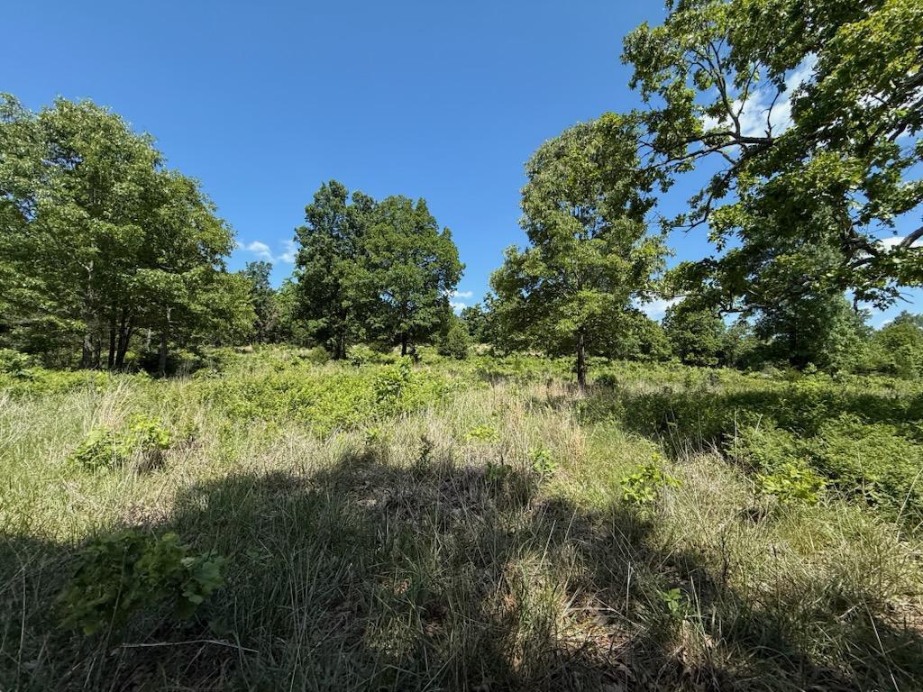10346 Highway 289 Property Photo 32