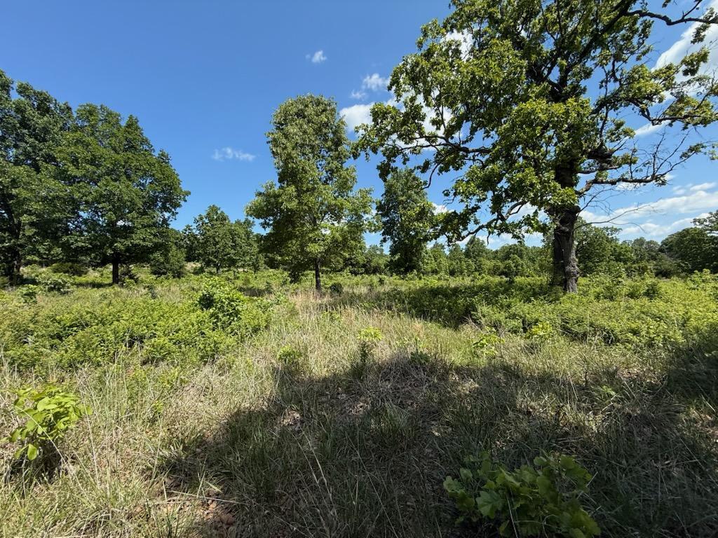 10346 Highway 289 Property Photo 34