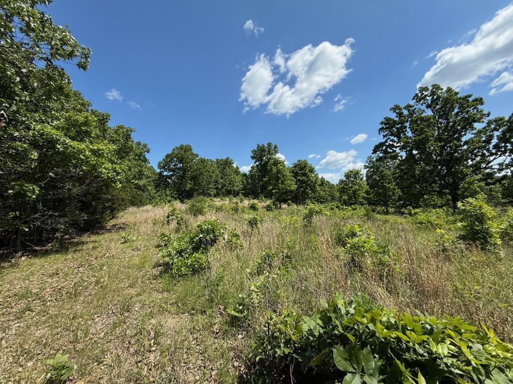 10346 Highway 289 Property Photo 35