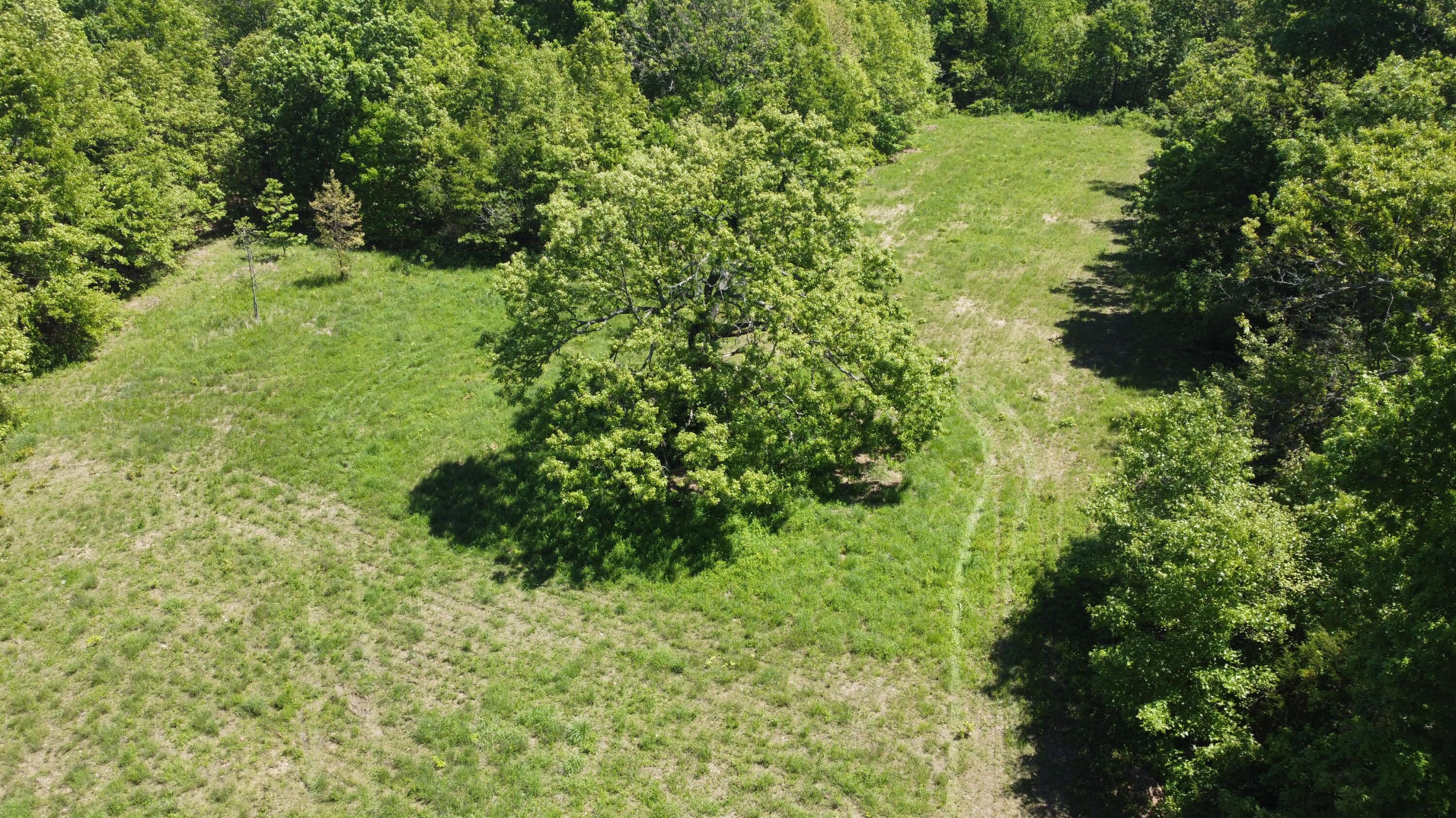 60322586 Property Photo 3