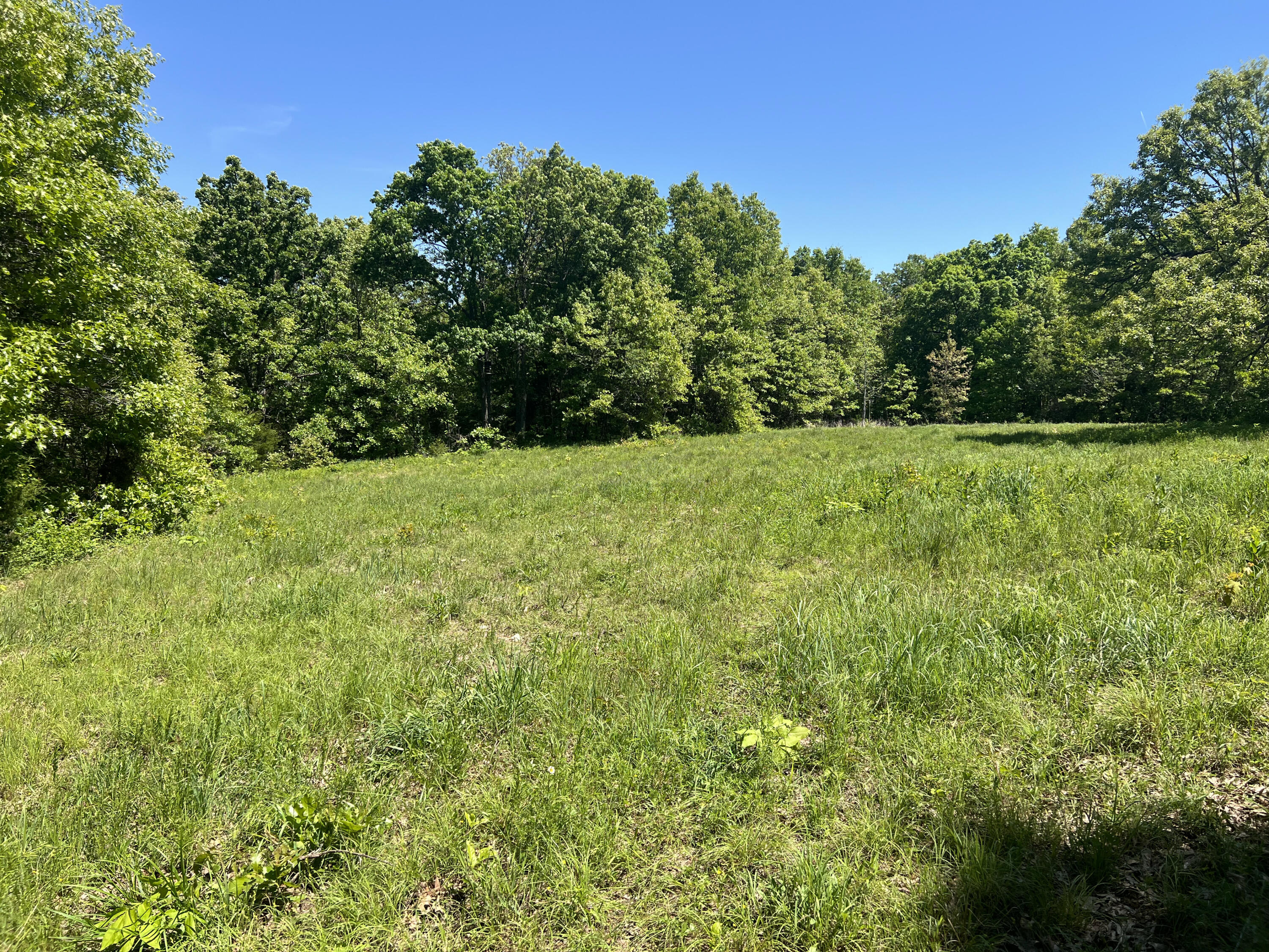 60322586 Property Photo 4