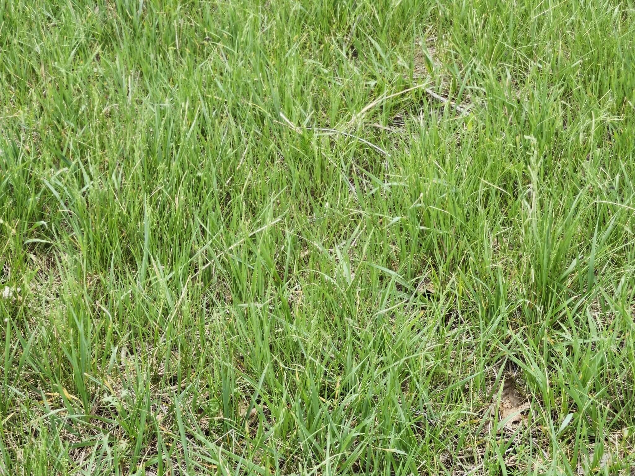 0 County Road 14-252 Property Photo 4