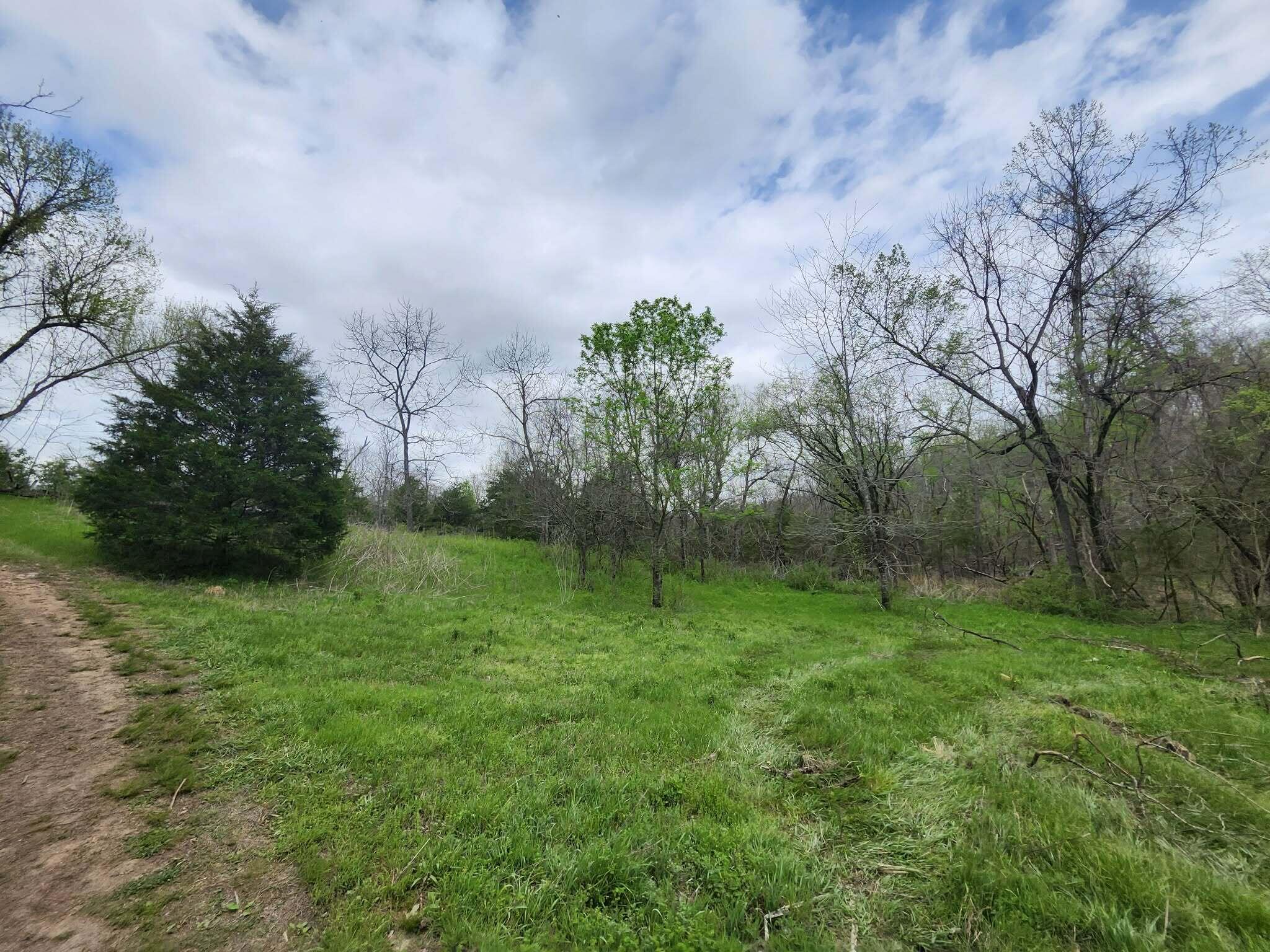 0 County Road 250-80 Property Photo 2